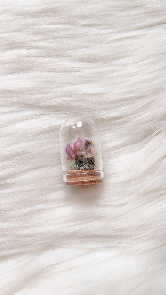 Lottie Terrarium
