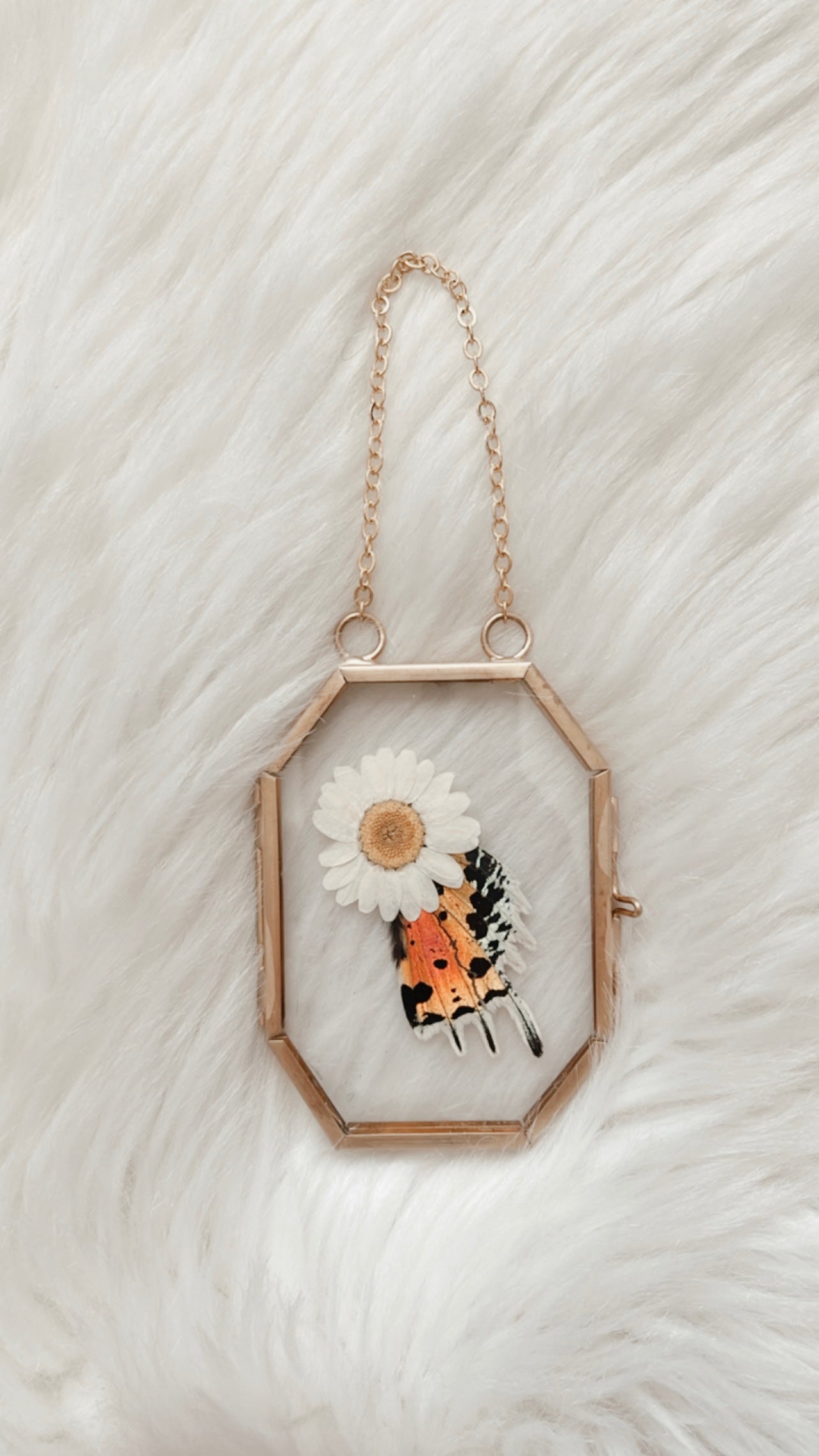 Louisa Moth Floral Frame