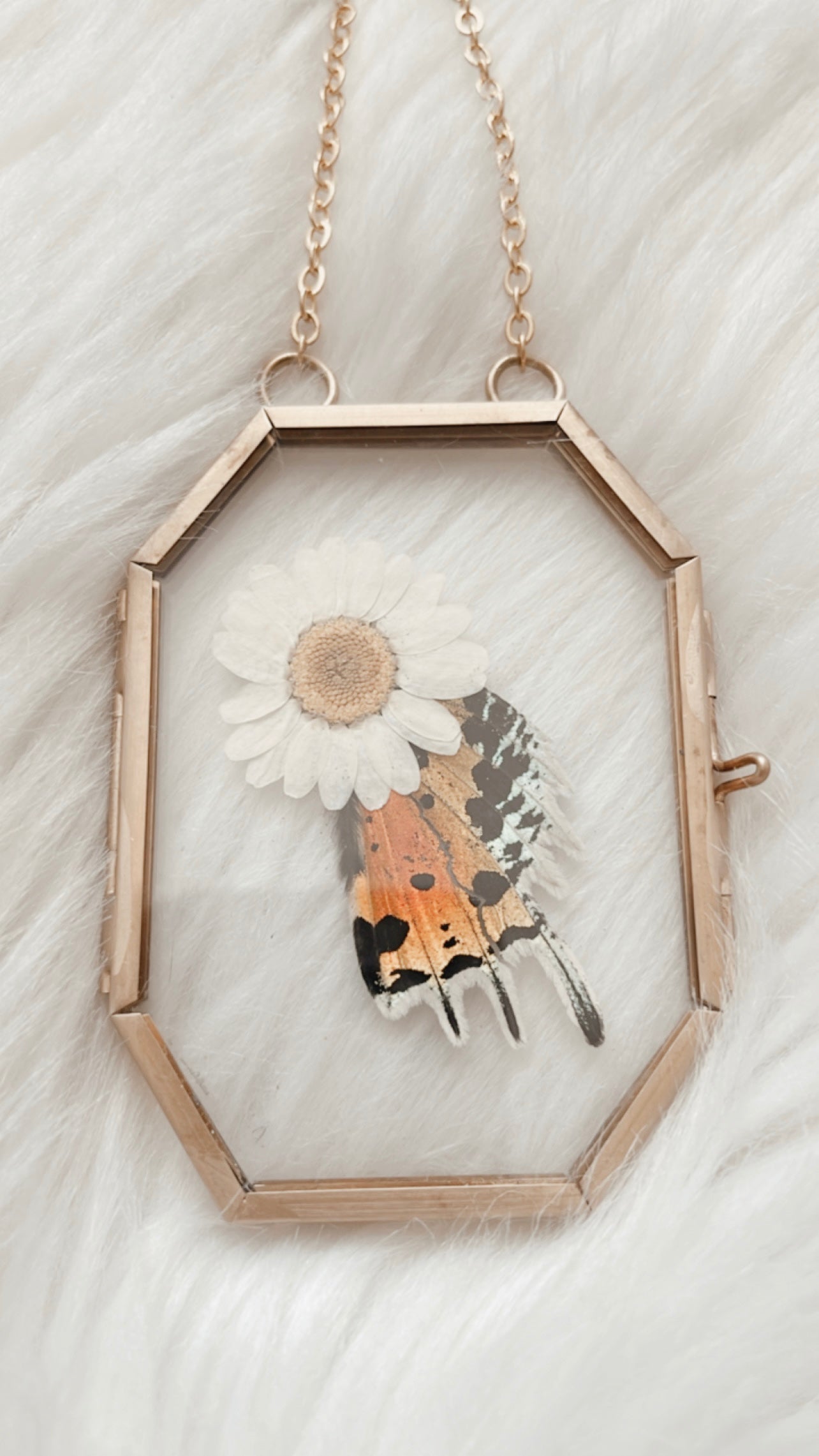 Louisa Moth Floral Frame