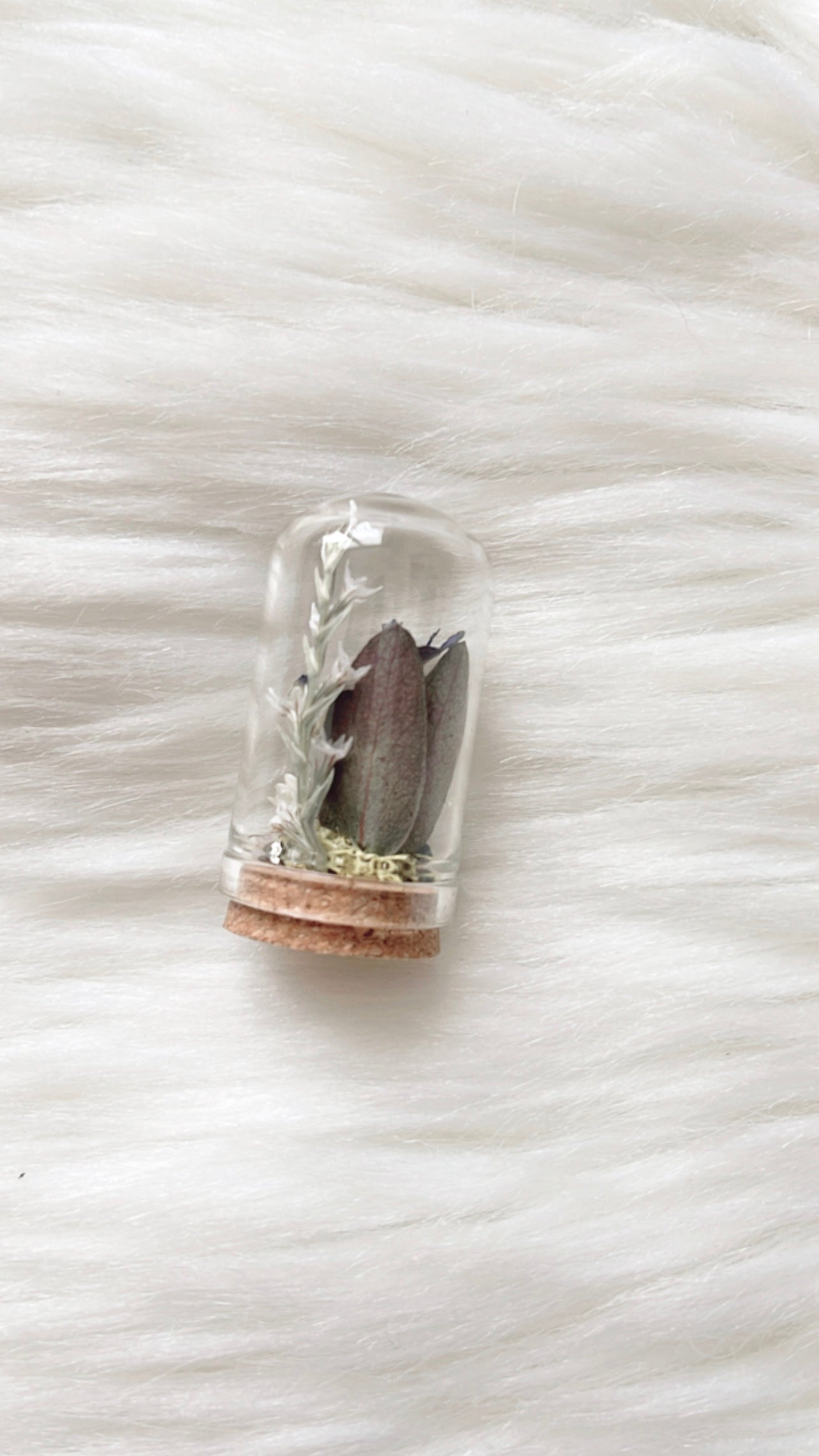 Louise Terrarium