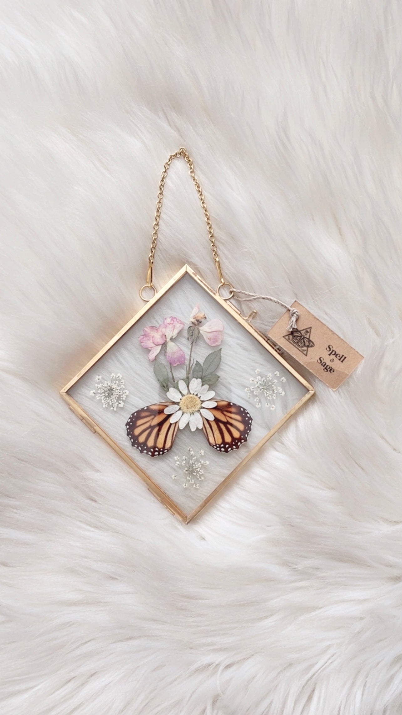 Lucia Butterfly Floral Frame <5.5x5.5in>