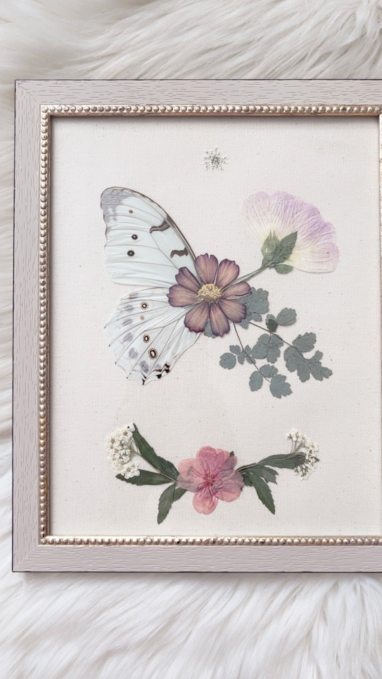 Lucille Butterfly Ornate Frame