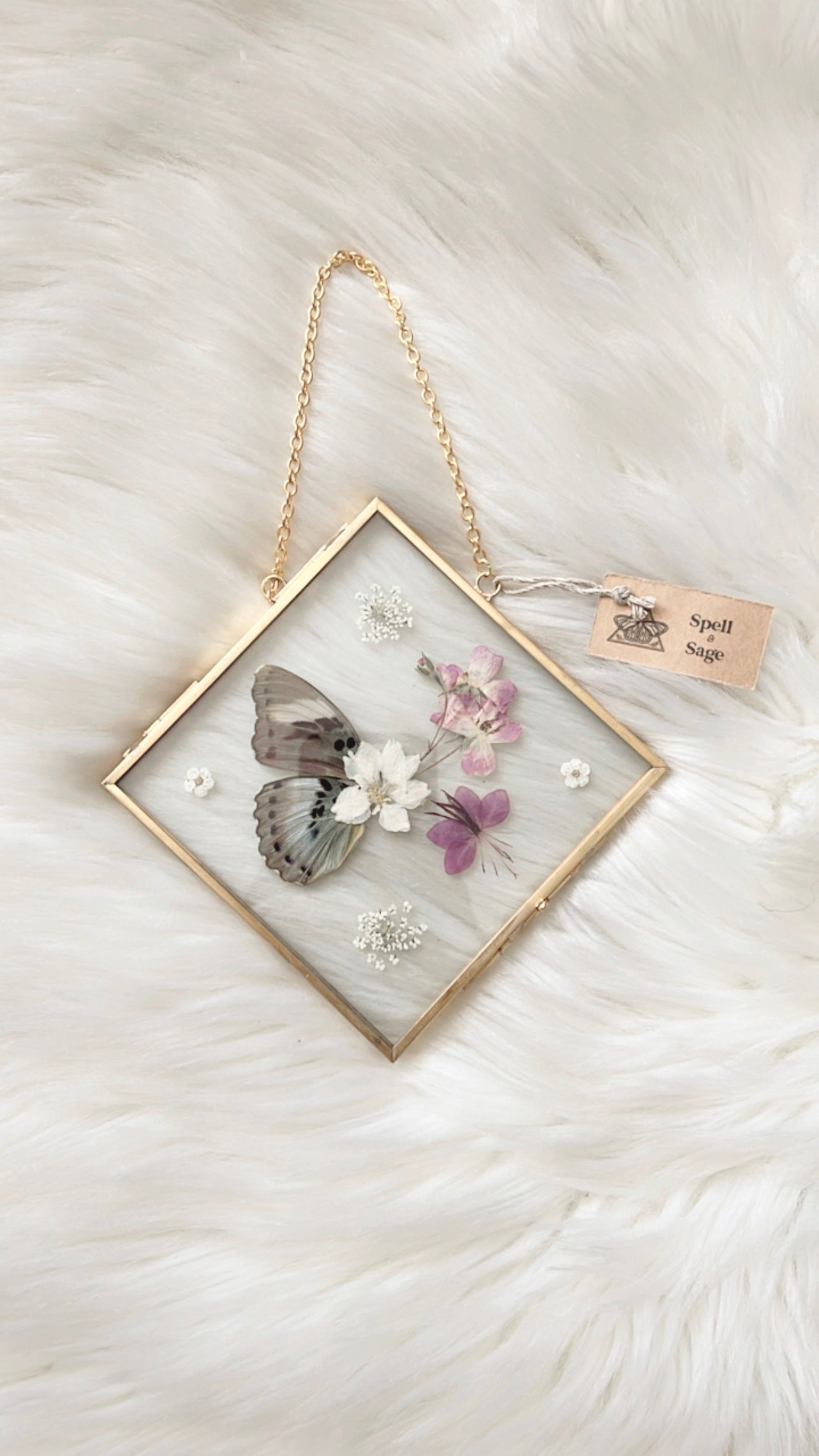 Mabel Butterfly Floral Frame <6.5x6.5in>