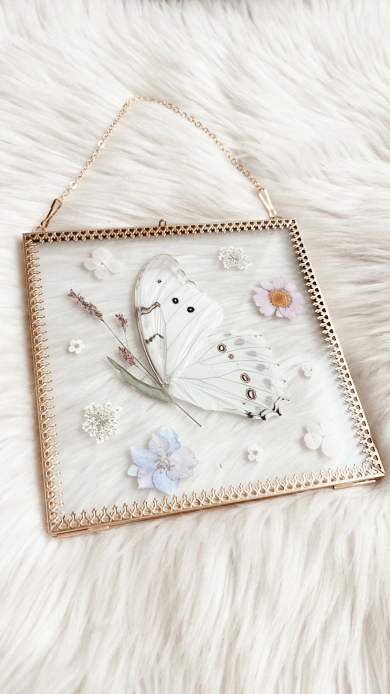 Mackenzie Butterfly Floral Frame
