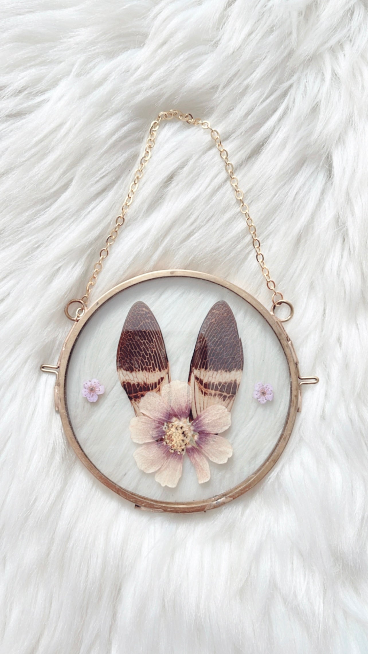 Maddie Cicada Floral Frame