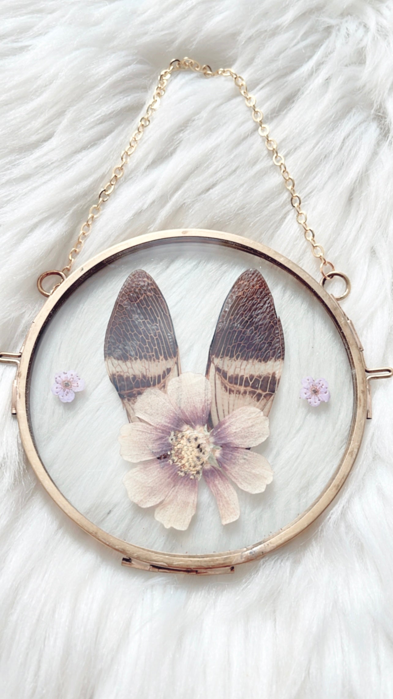 Maddie Cicada Floral Frame