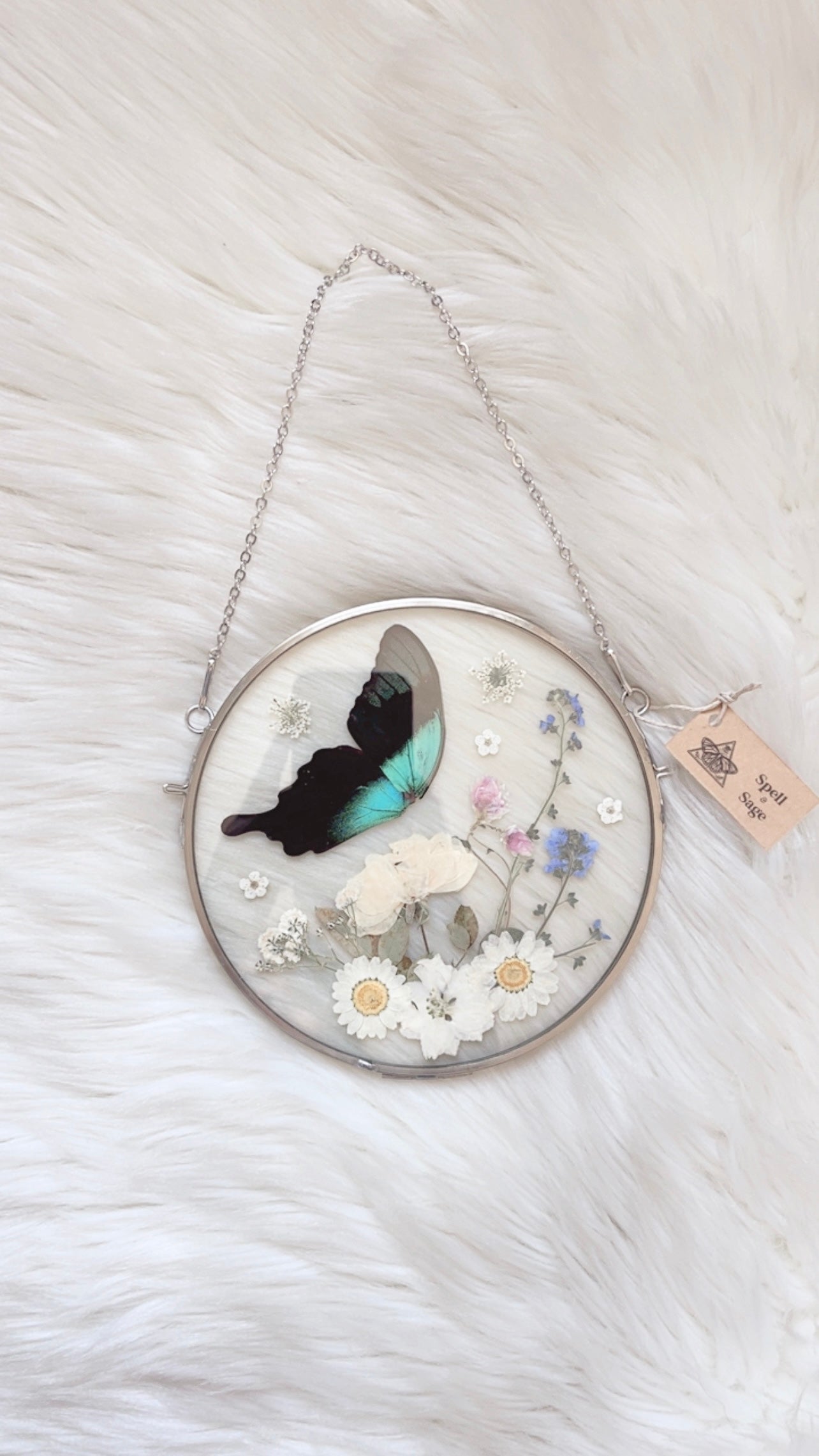 Madeline Butterfly Floral Frame <6.25in>