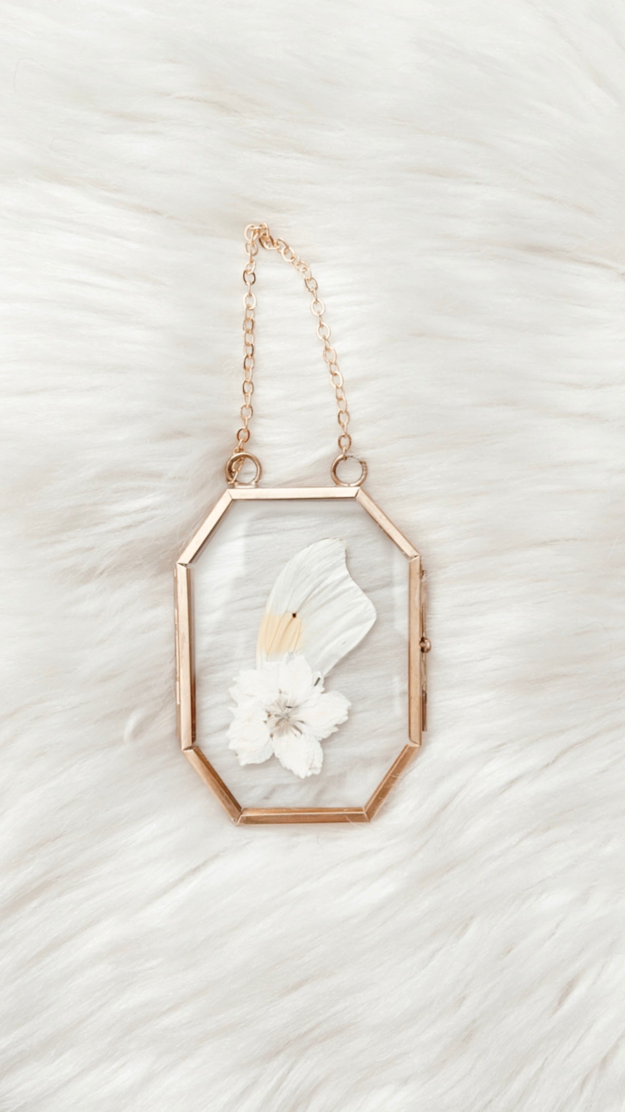 Maebe Butterfly Floral Frame
