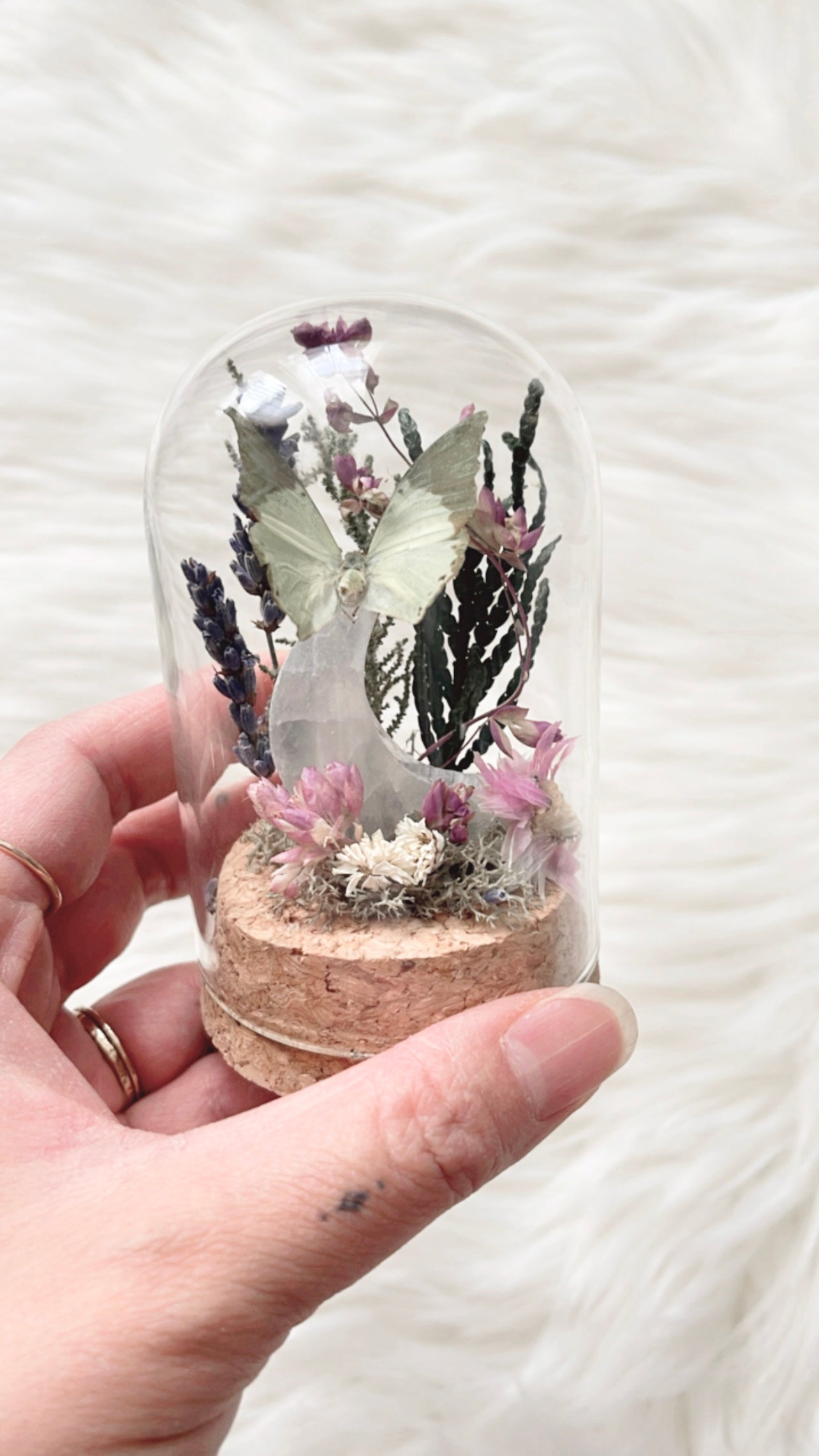 Maebe Terrarium