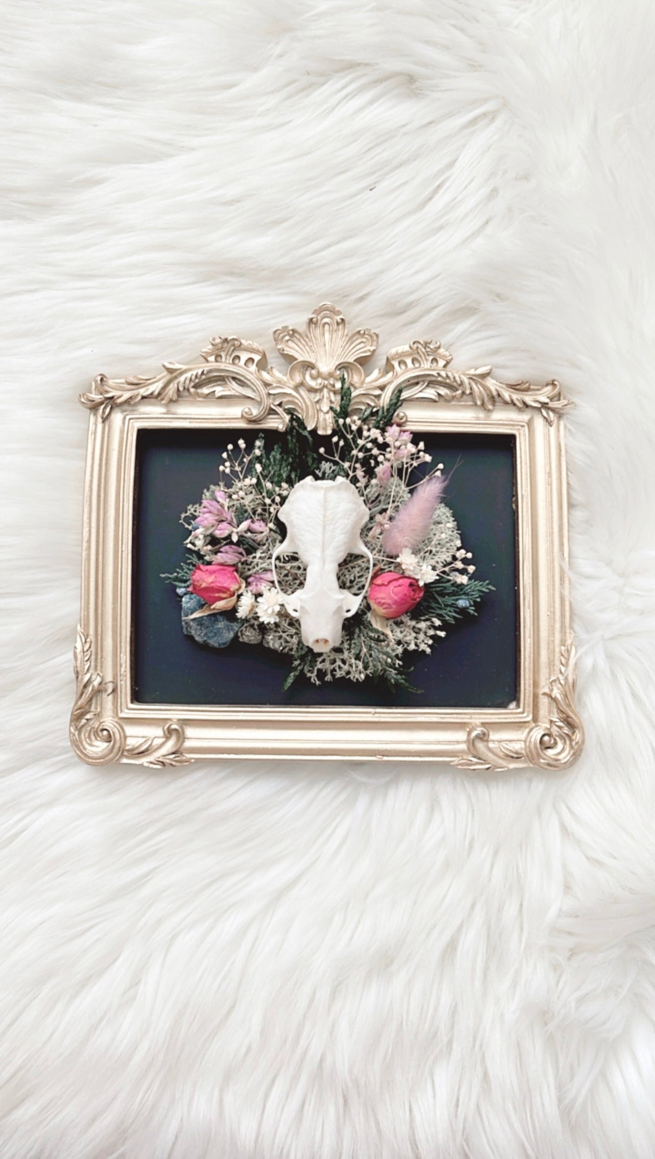 Maeve Oddities Frame <Mink Skull>