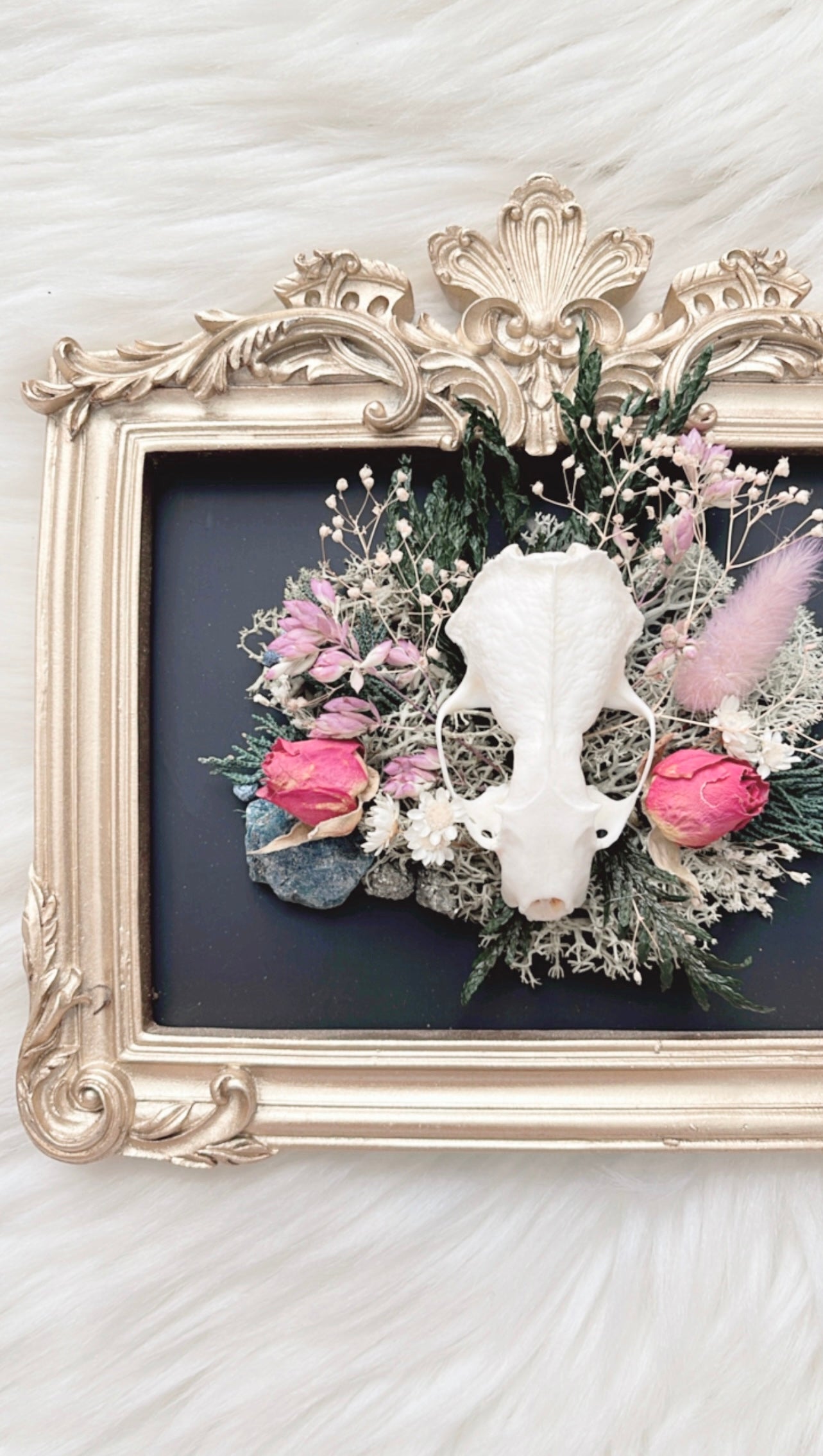 Maeve Oddities Frame <Mink Skull>