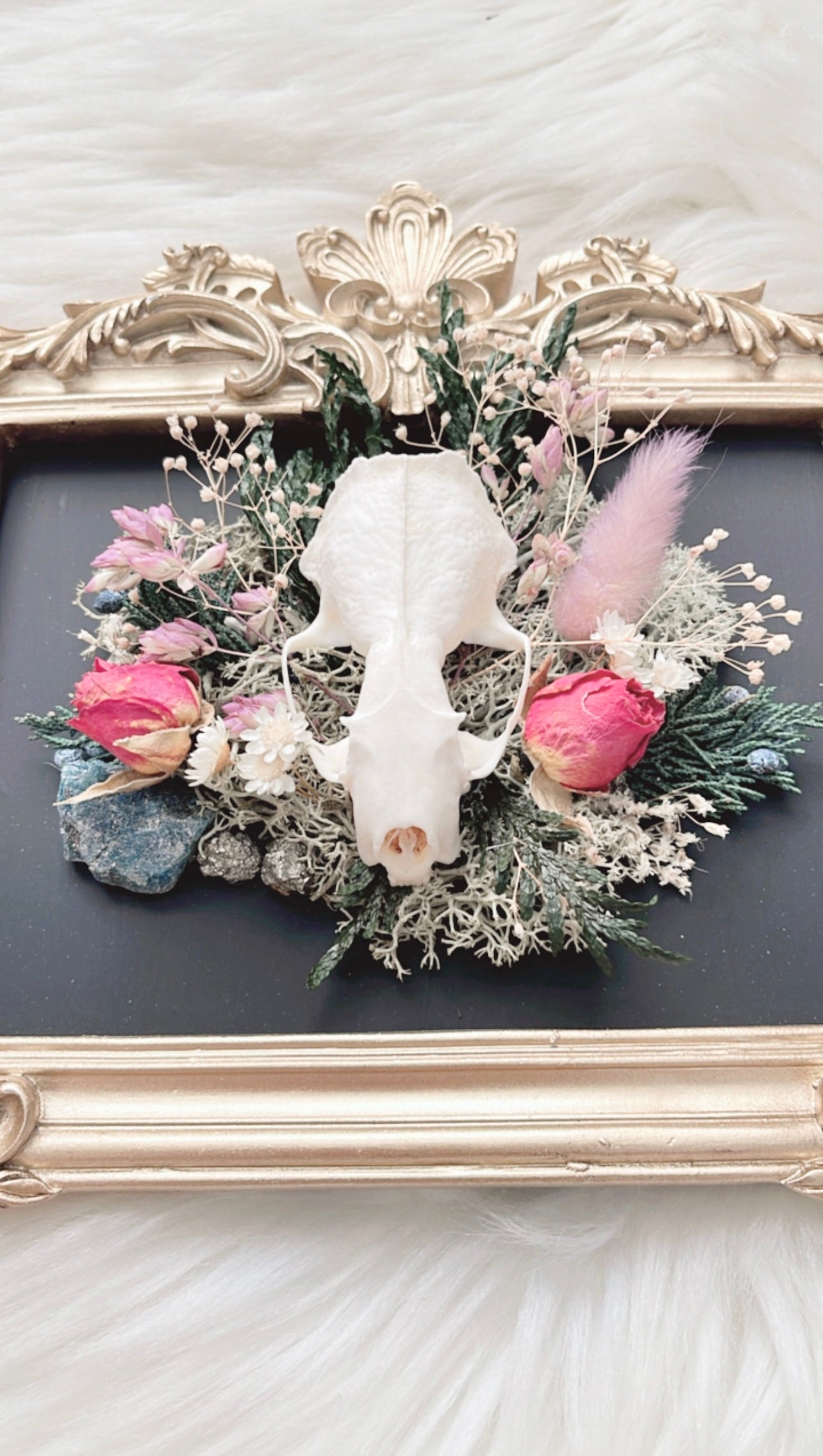 Maeve Oddities Frame <Mink Skull>