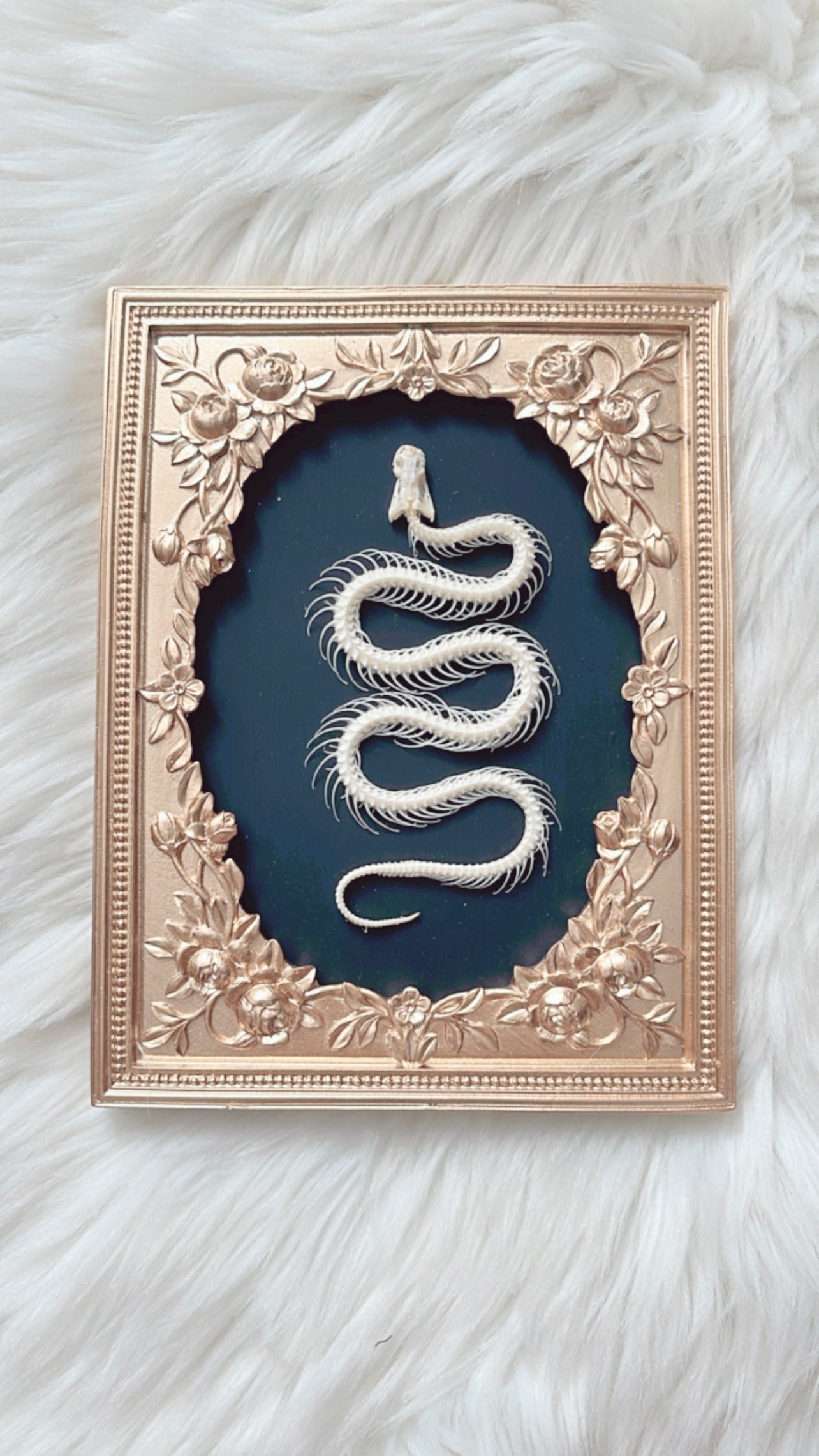 Maeve Snake Skelly Frame