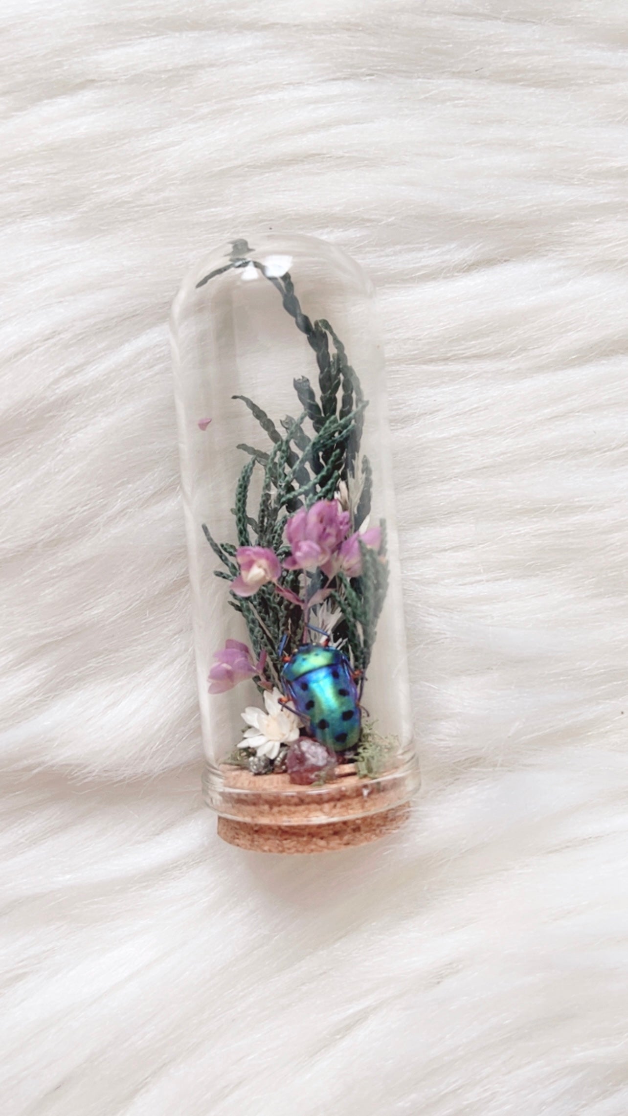 Maeve Terrarium