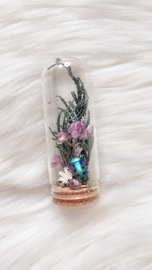 Maeve Terrarium