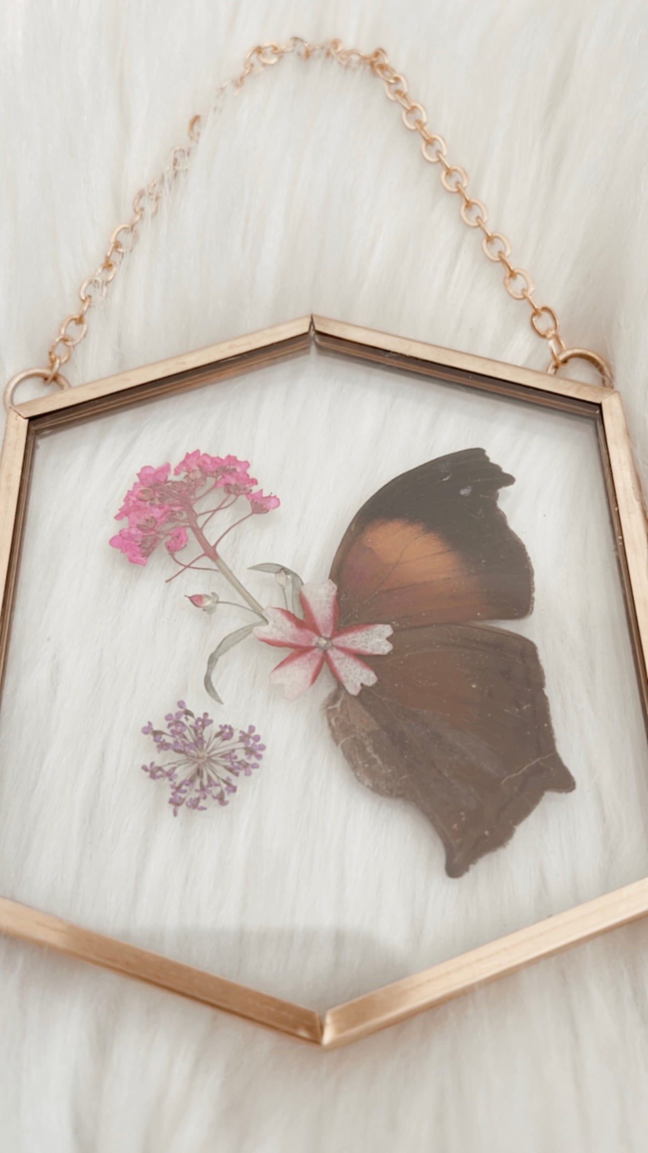 Magenta Butterfly Floral Frame