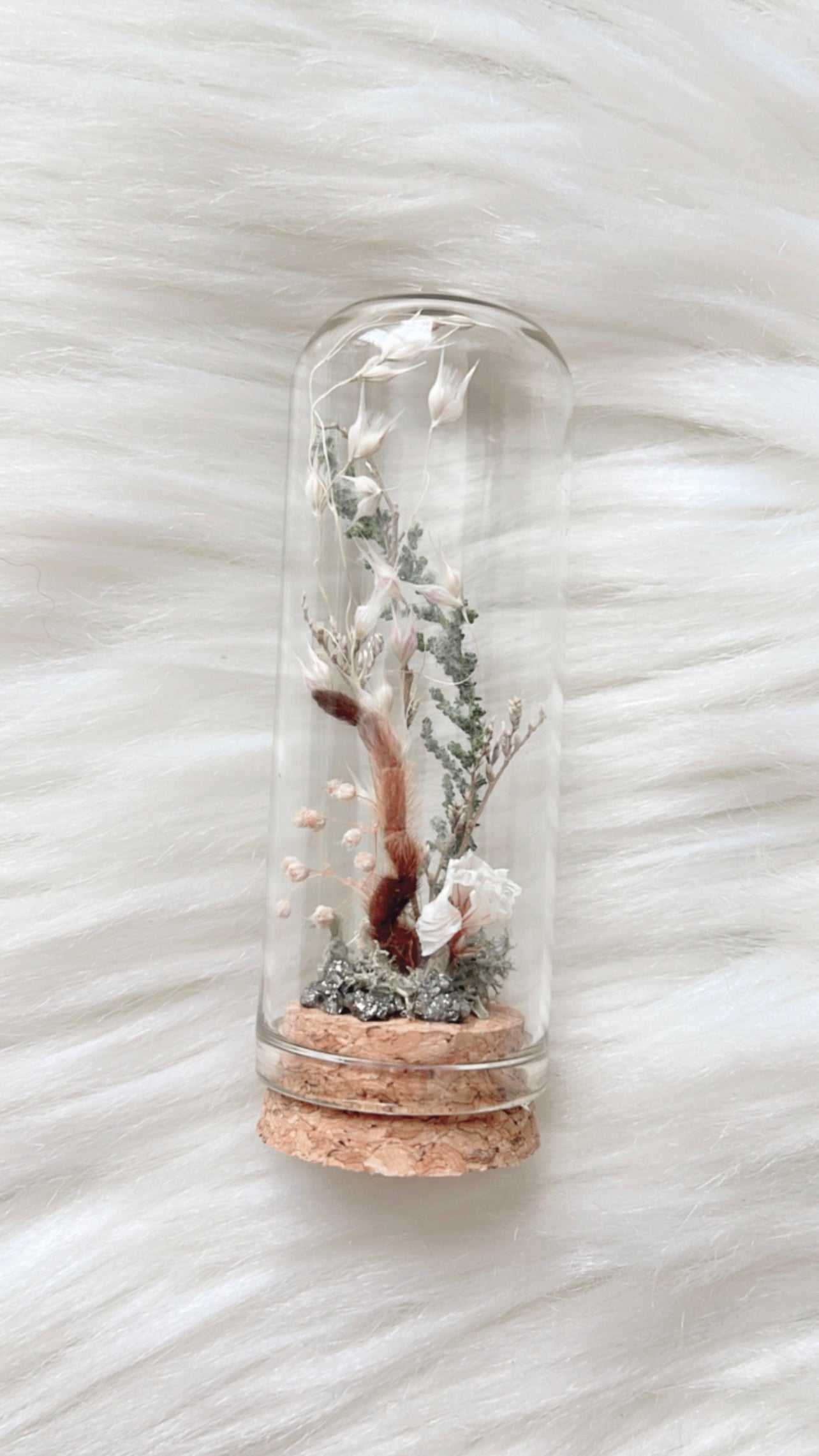 Mage Terrarium