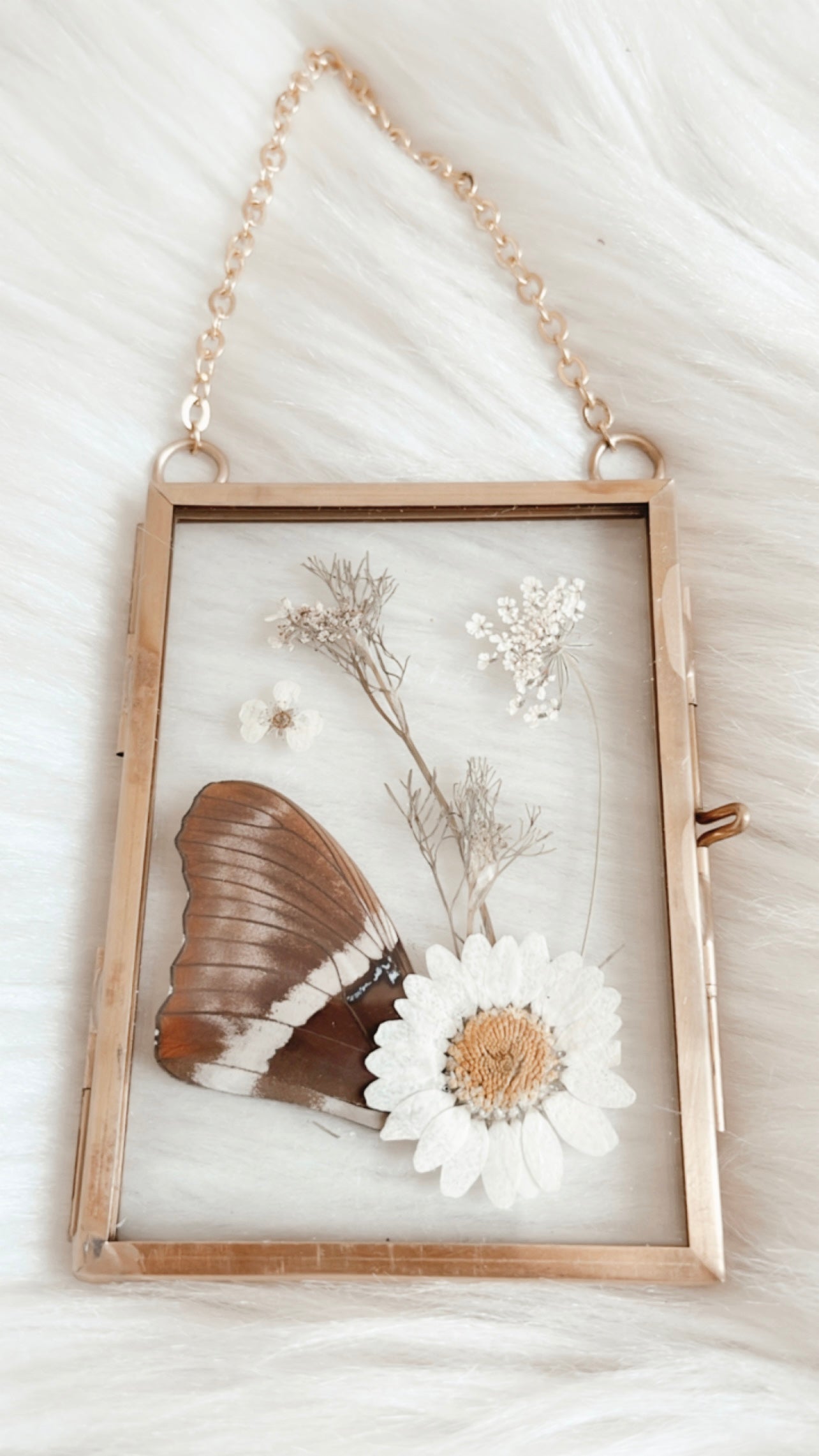 Maggie Butterfly Floral Frame