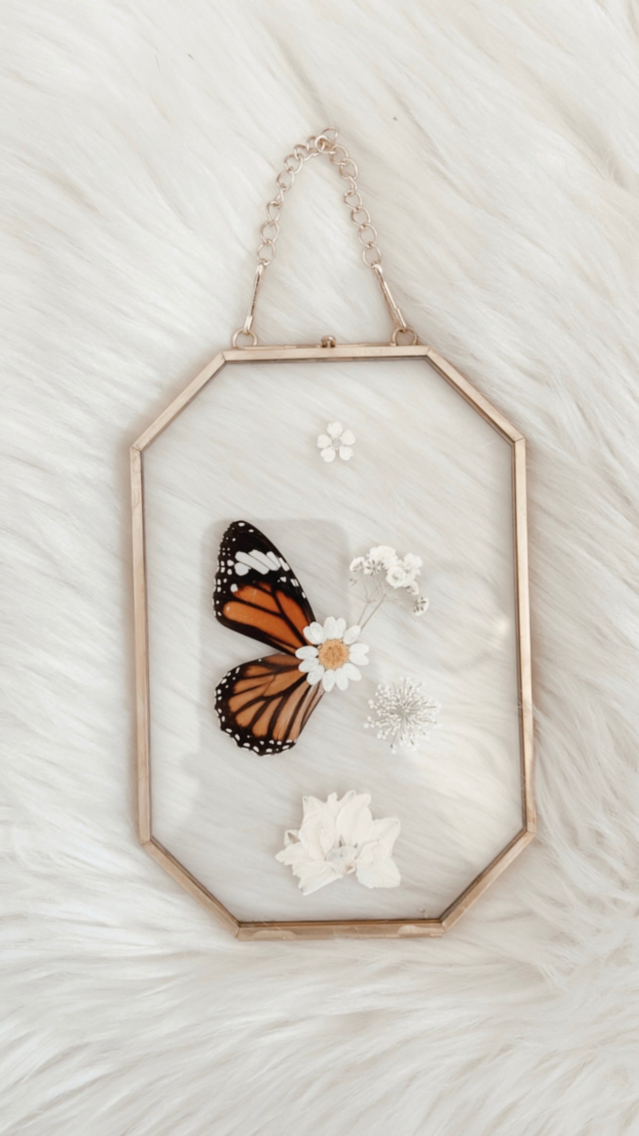 Magnolia Butterfly Floral Frame