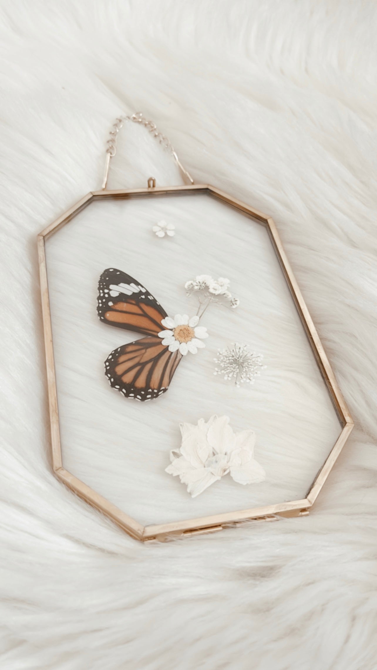 Magnolia Butterfly Floral Frame