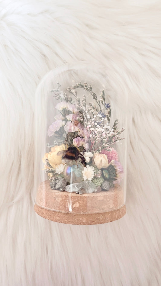 Magnolia Terrarium