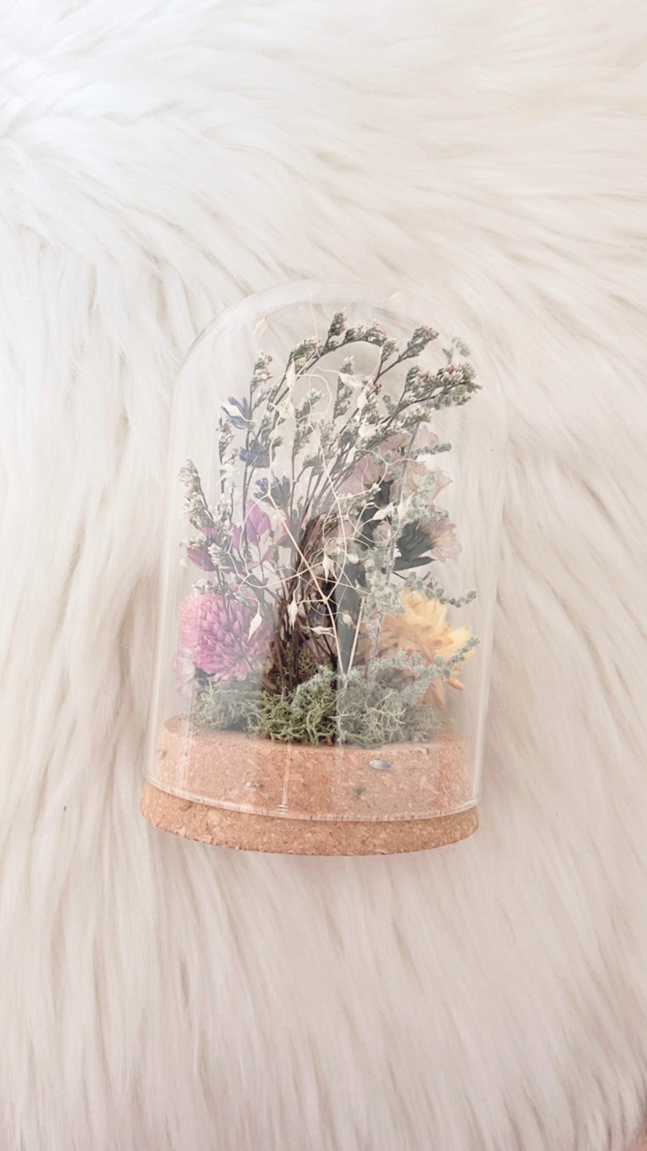 Magnolia Terrarium