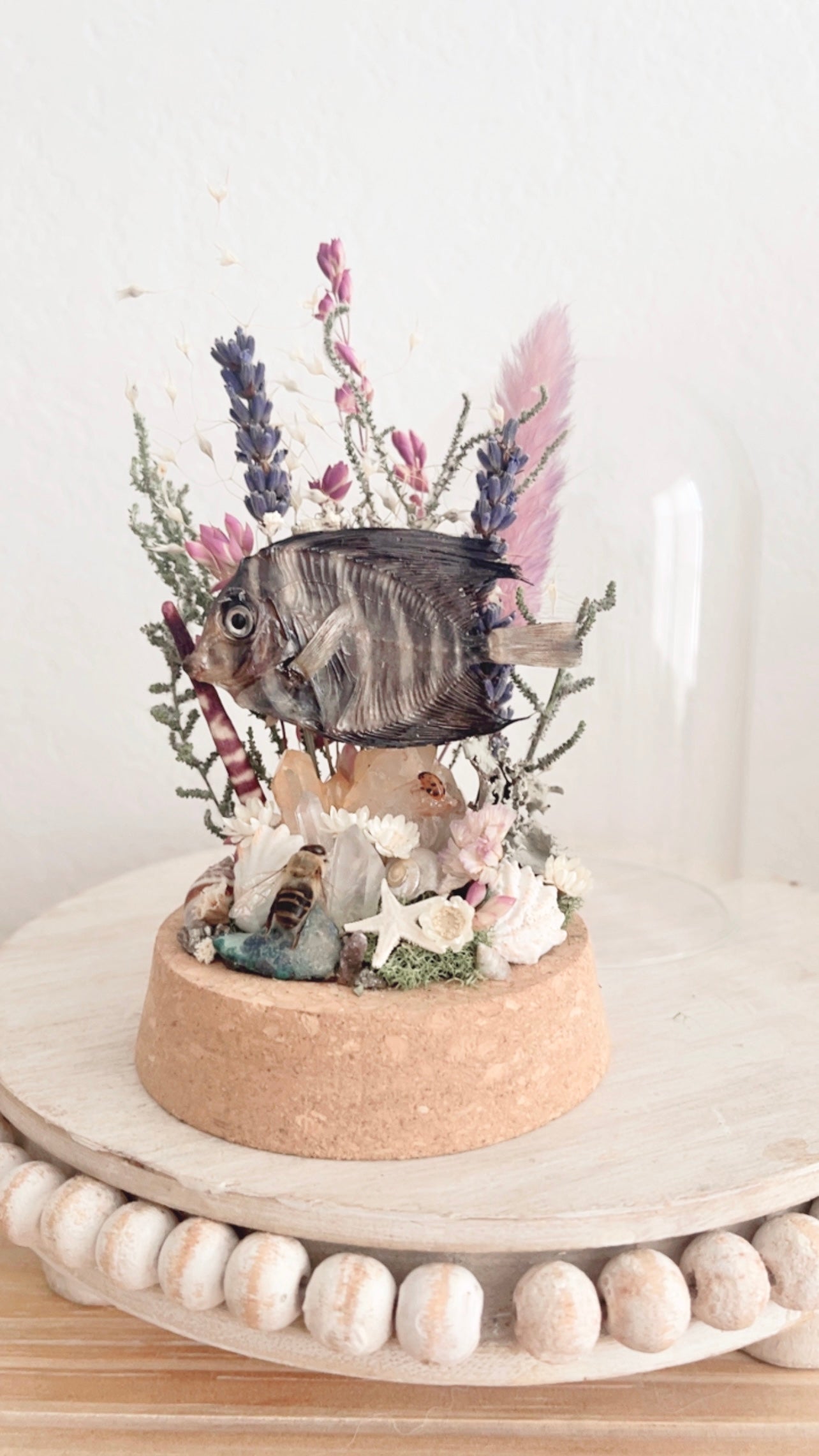 Manami Terrarium