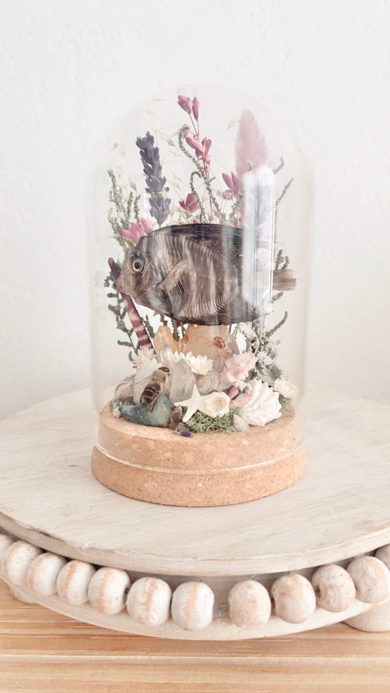 Manami Terrarium