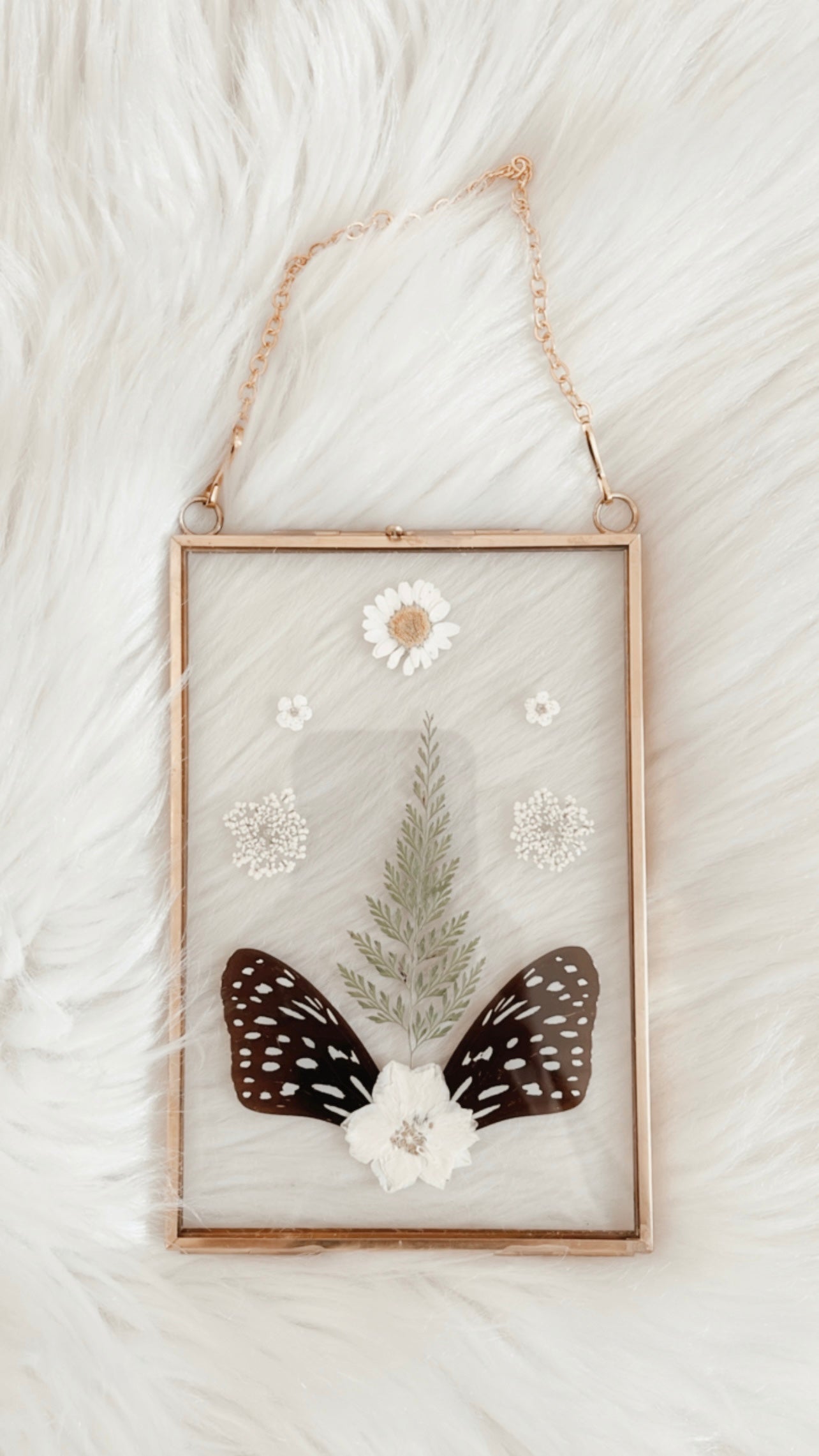 Margot Butterfly Floral Frame