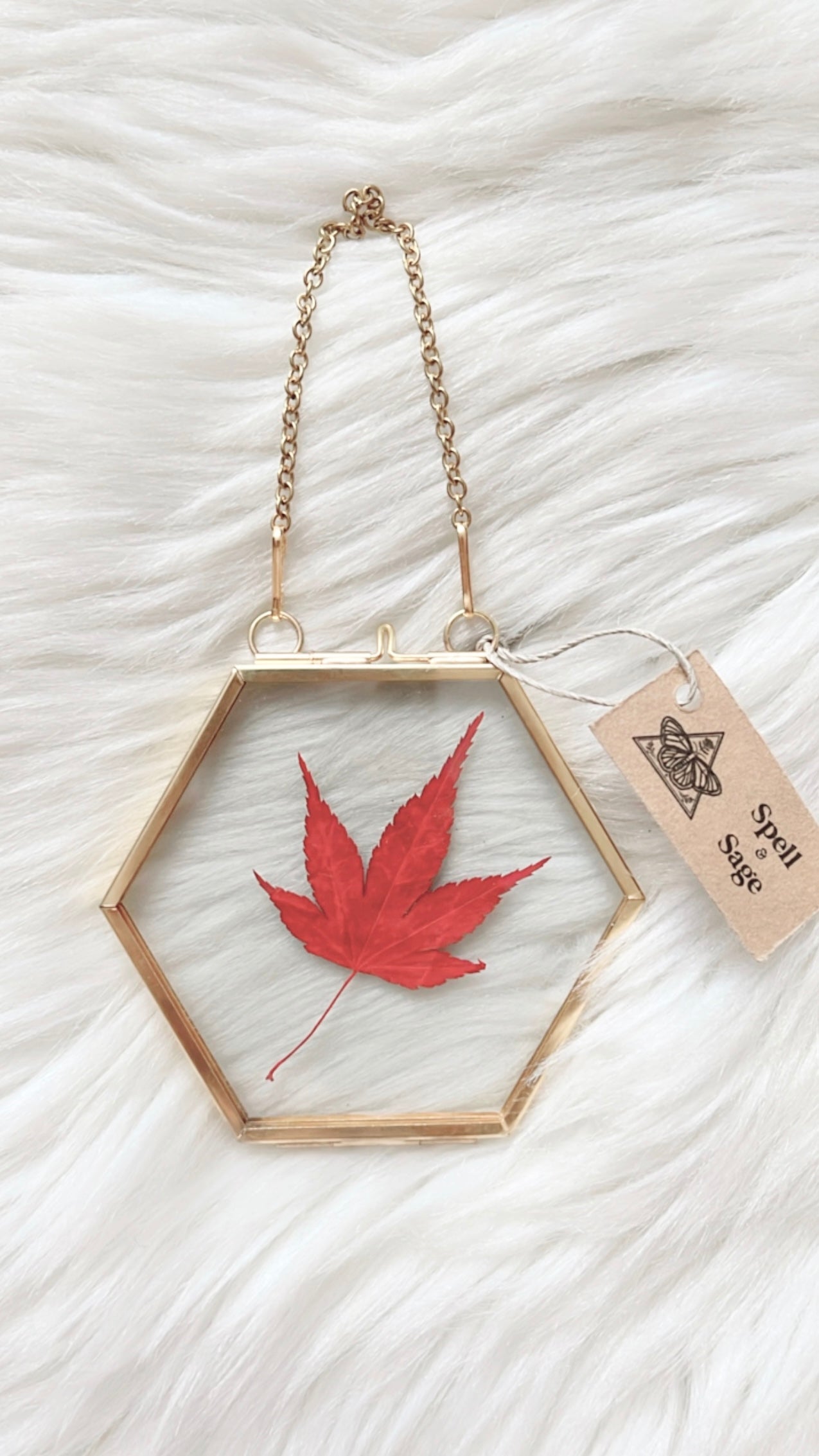 Margot Leaf Frame <3.5x3.25in>