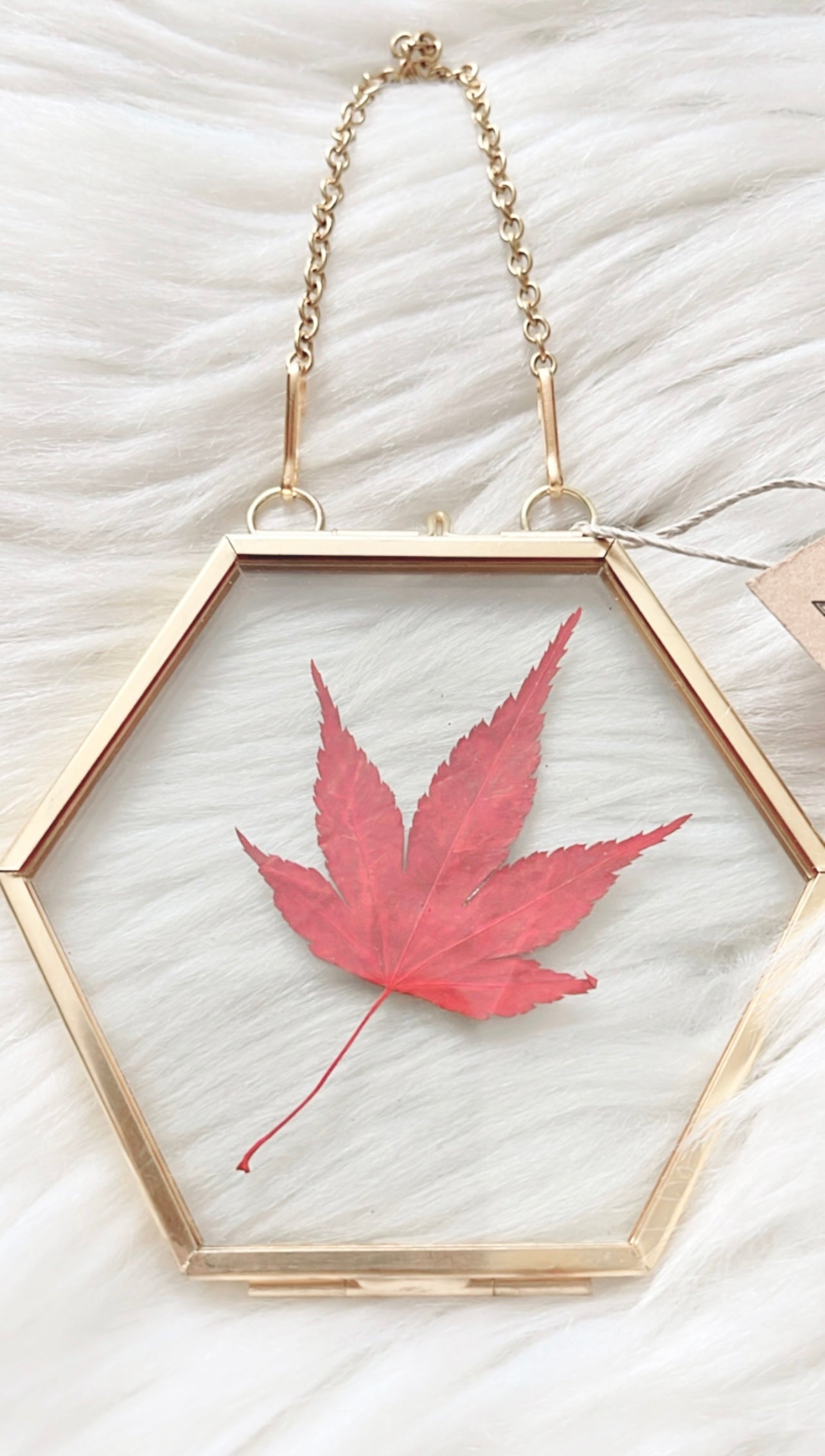 Margot Leaf Frame <3.5x3.25in>