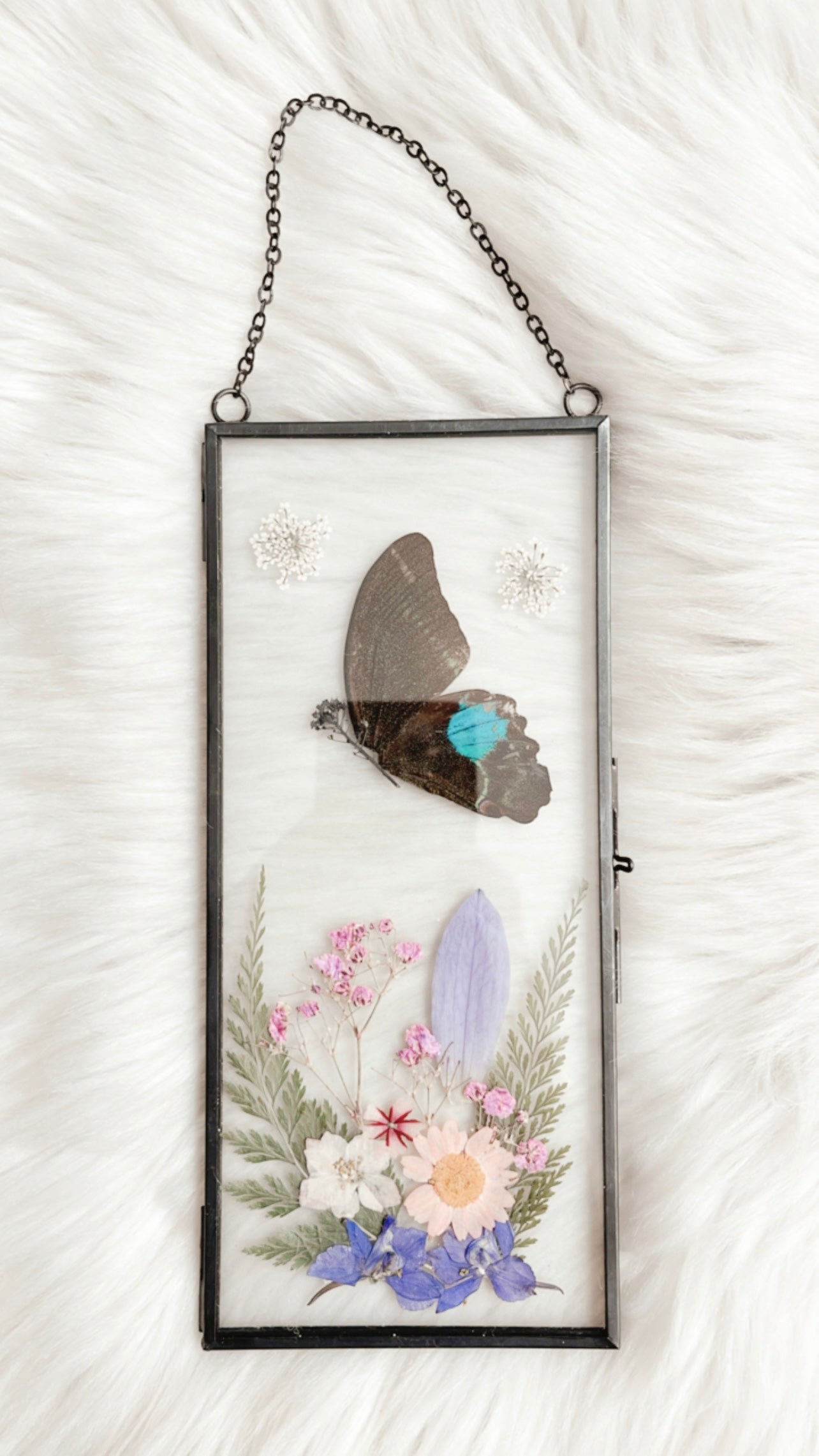 Mariah Butterfly Floral Frame