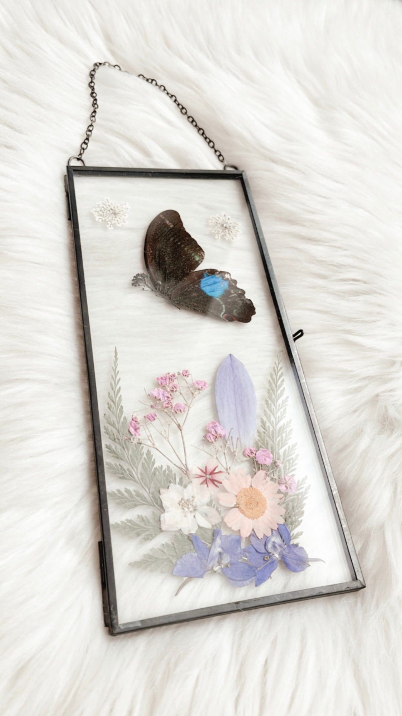 Mariah Butterfly Floral Frame