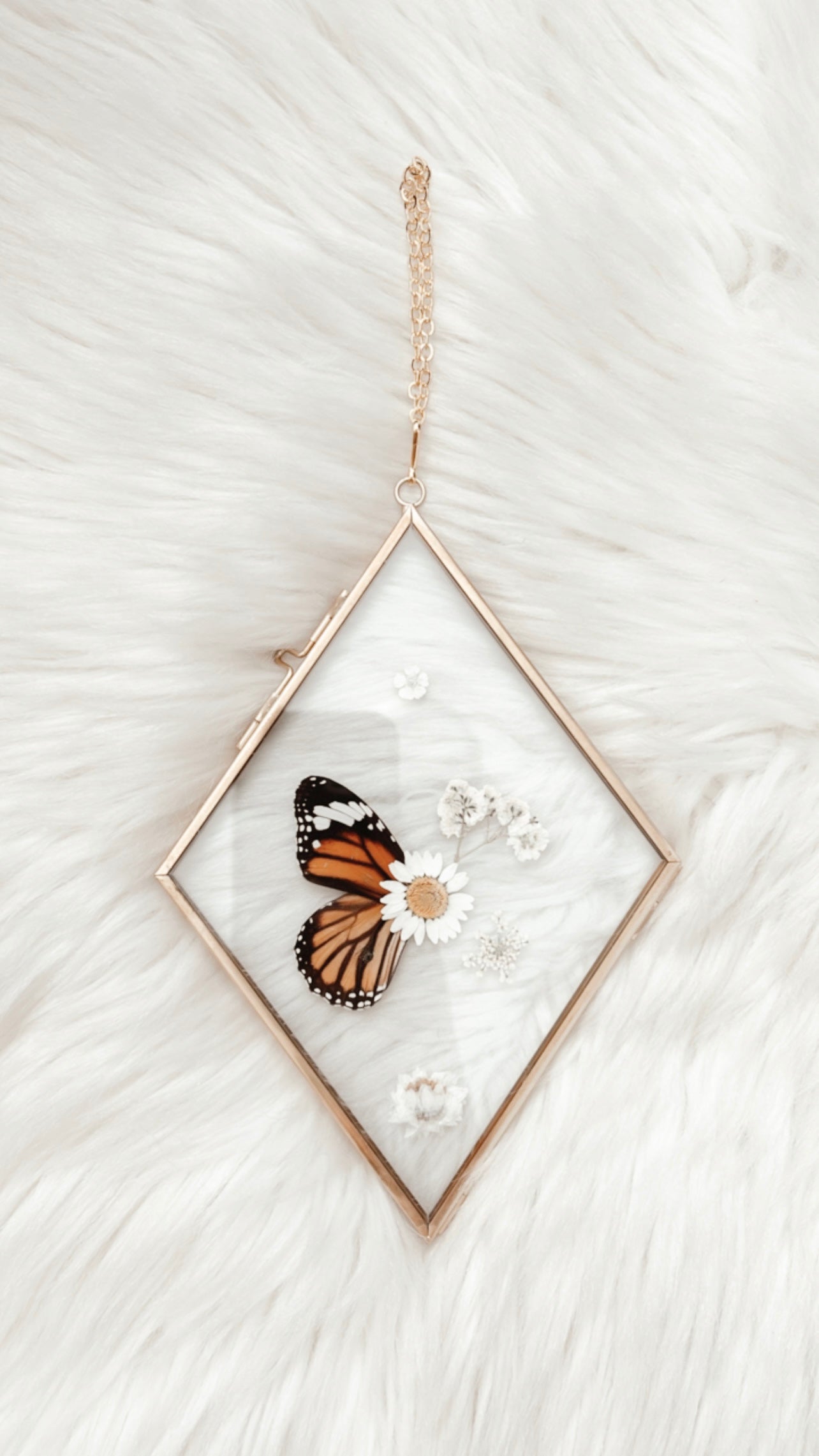 Marie Butterfly Floral Frame