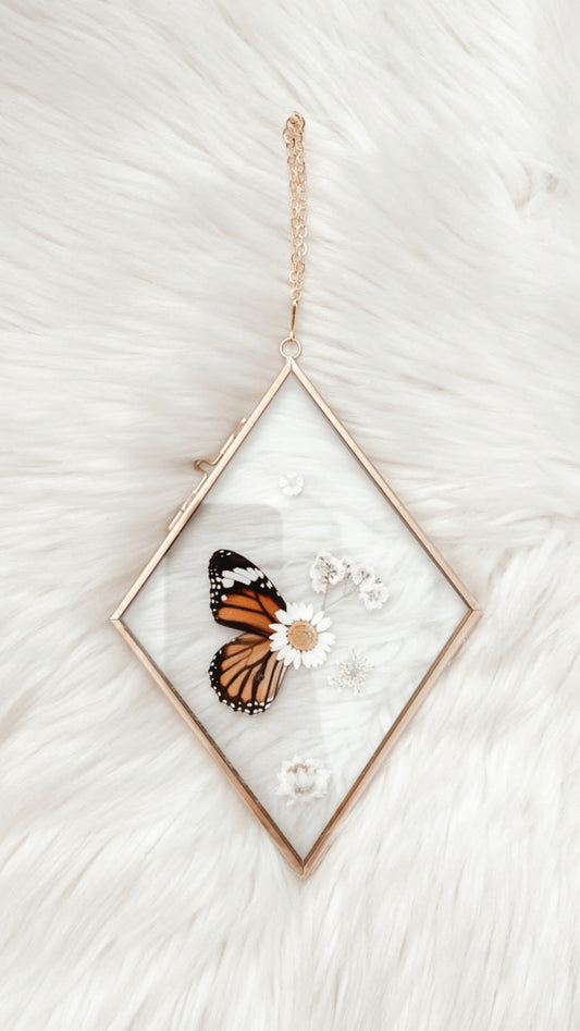 ❋ September 17, 2025 ❋ 6p - Monarch Butterfly Floral Frame