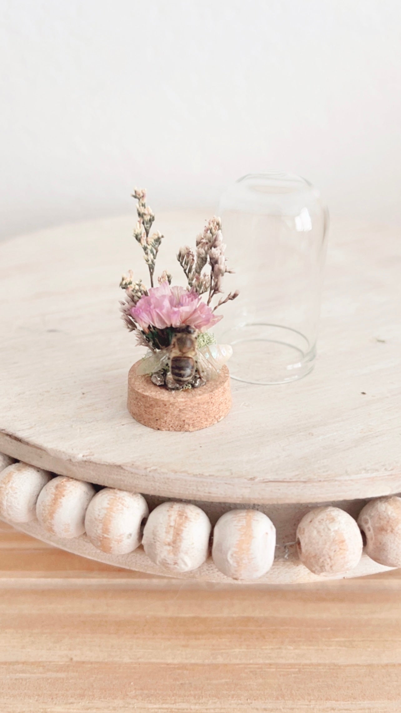 Marisol Mini Terrarium