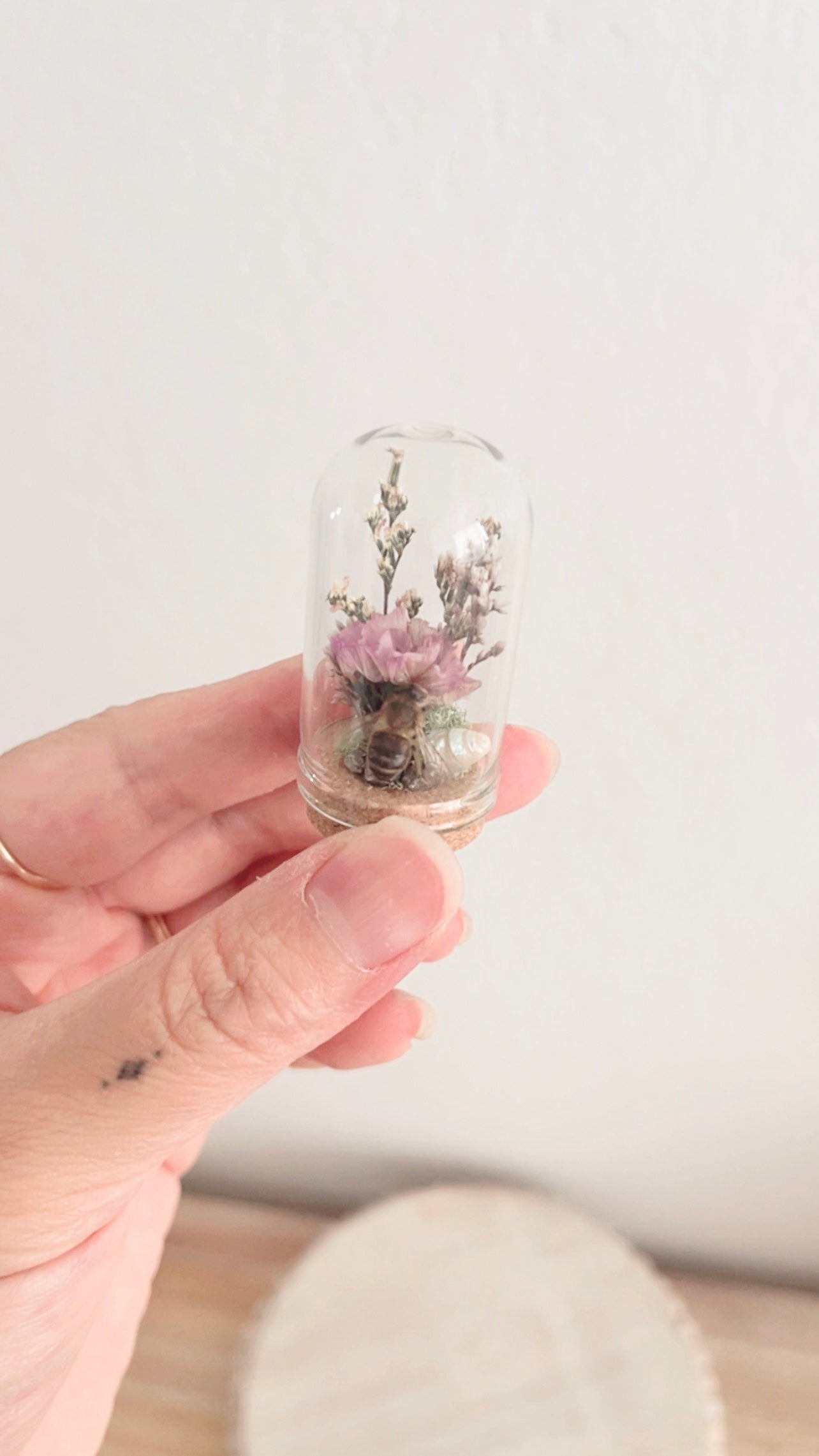 Marisol Mini Terrarium