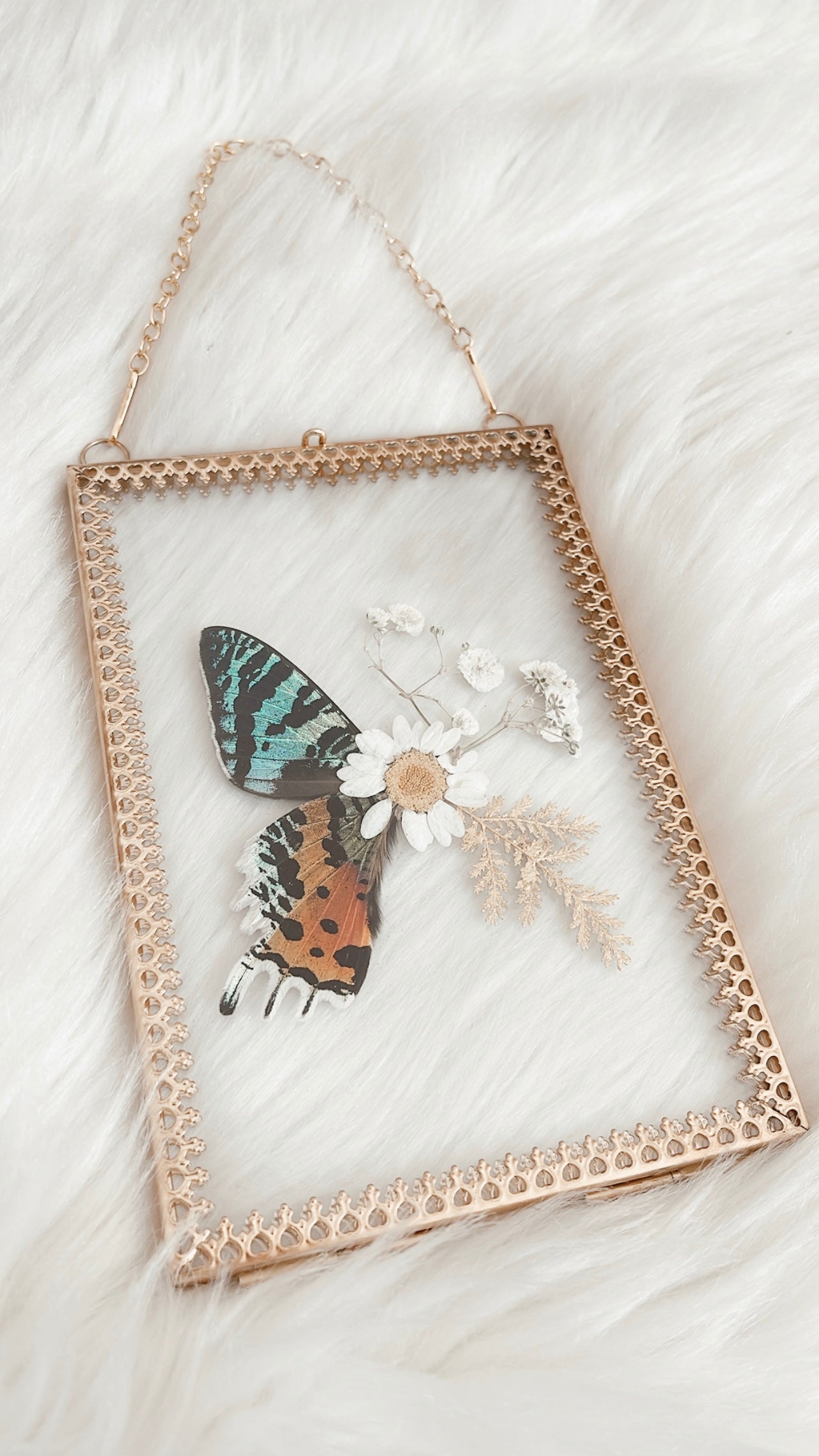 Marissa Moth Floral Frame