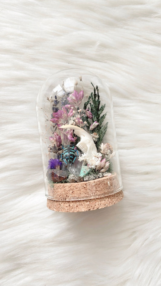 Marjorie Terrarium