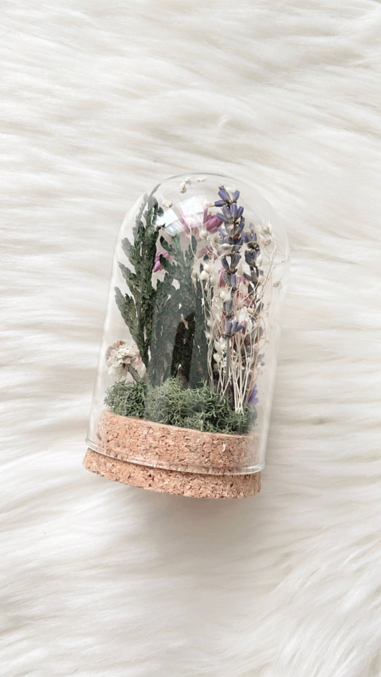 Marjorie Terrarium