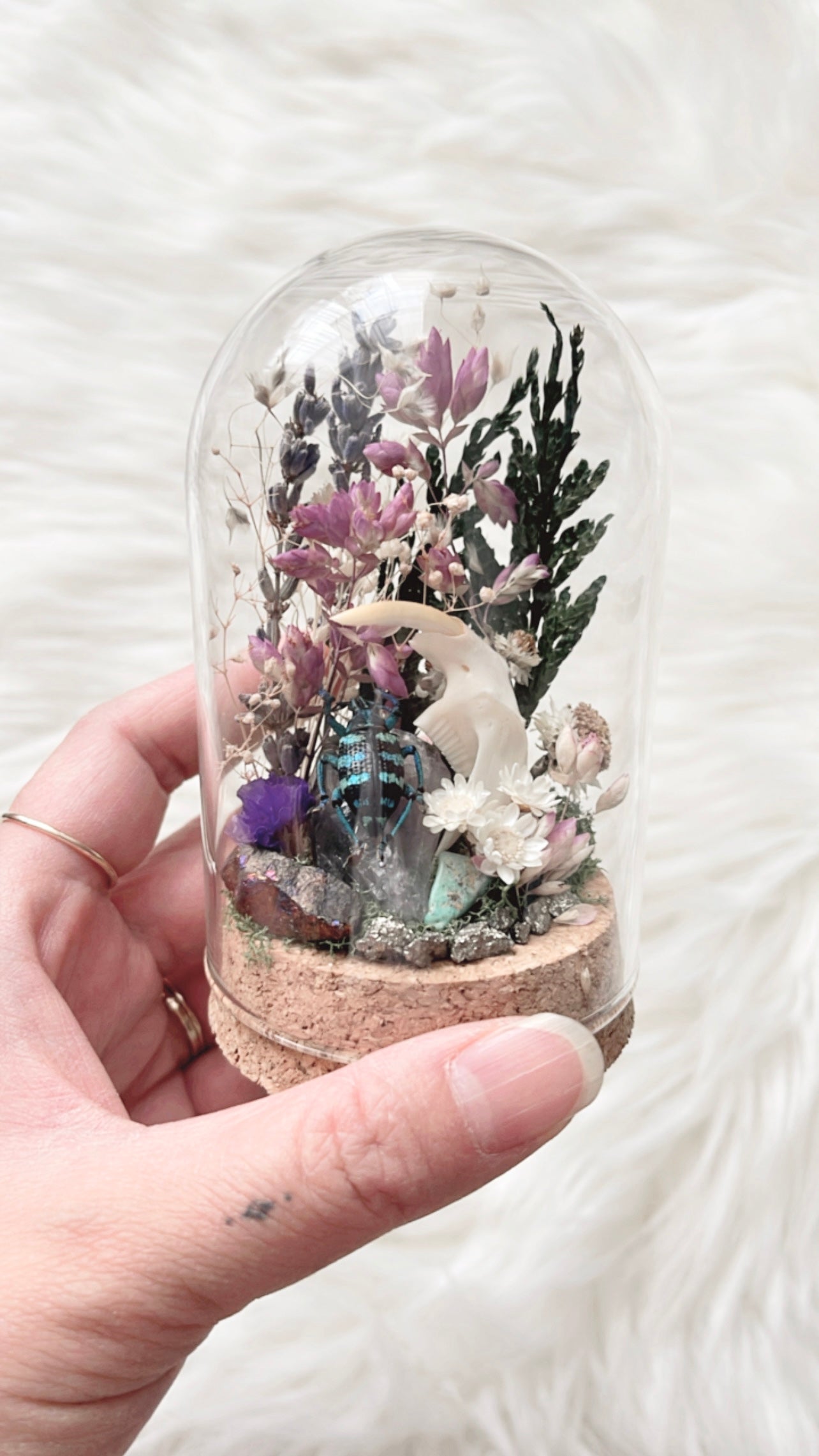 Marjorie Terrarium