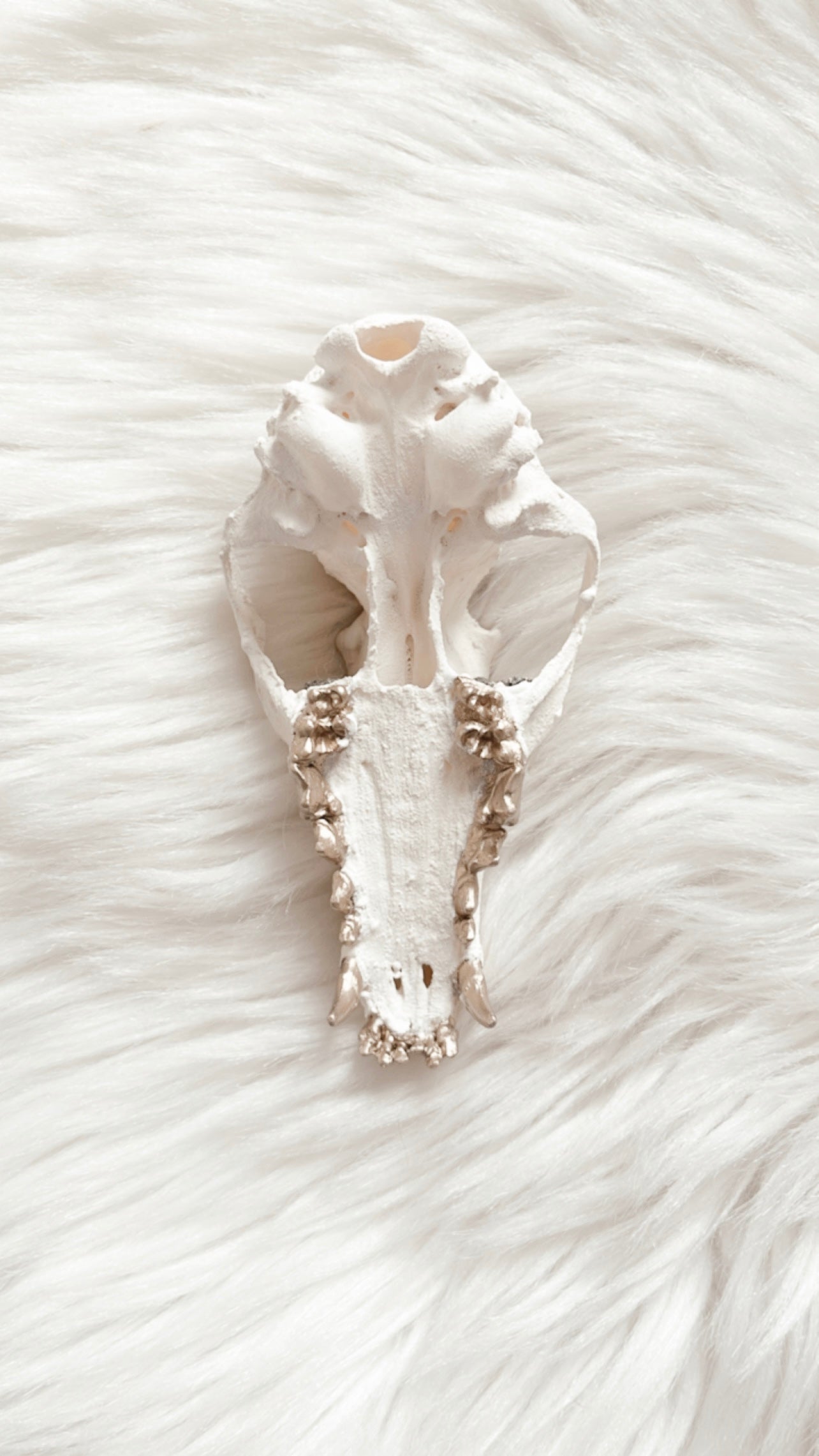 Marlo Fox Skull