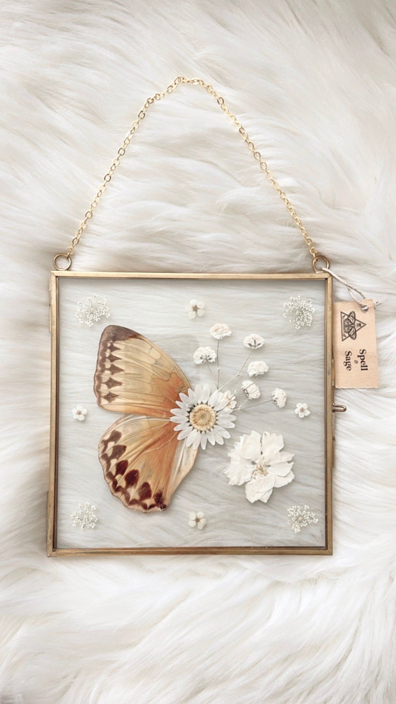 Maud Butterfly Floral Frame <6x6in>