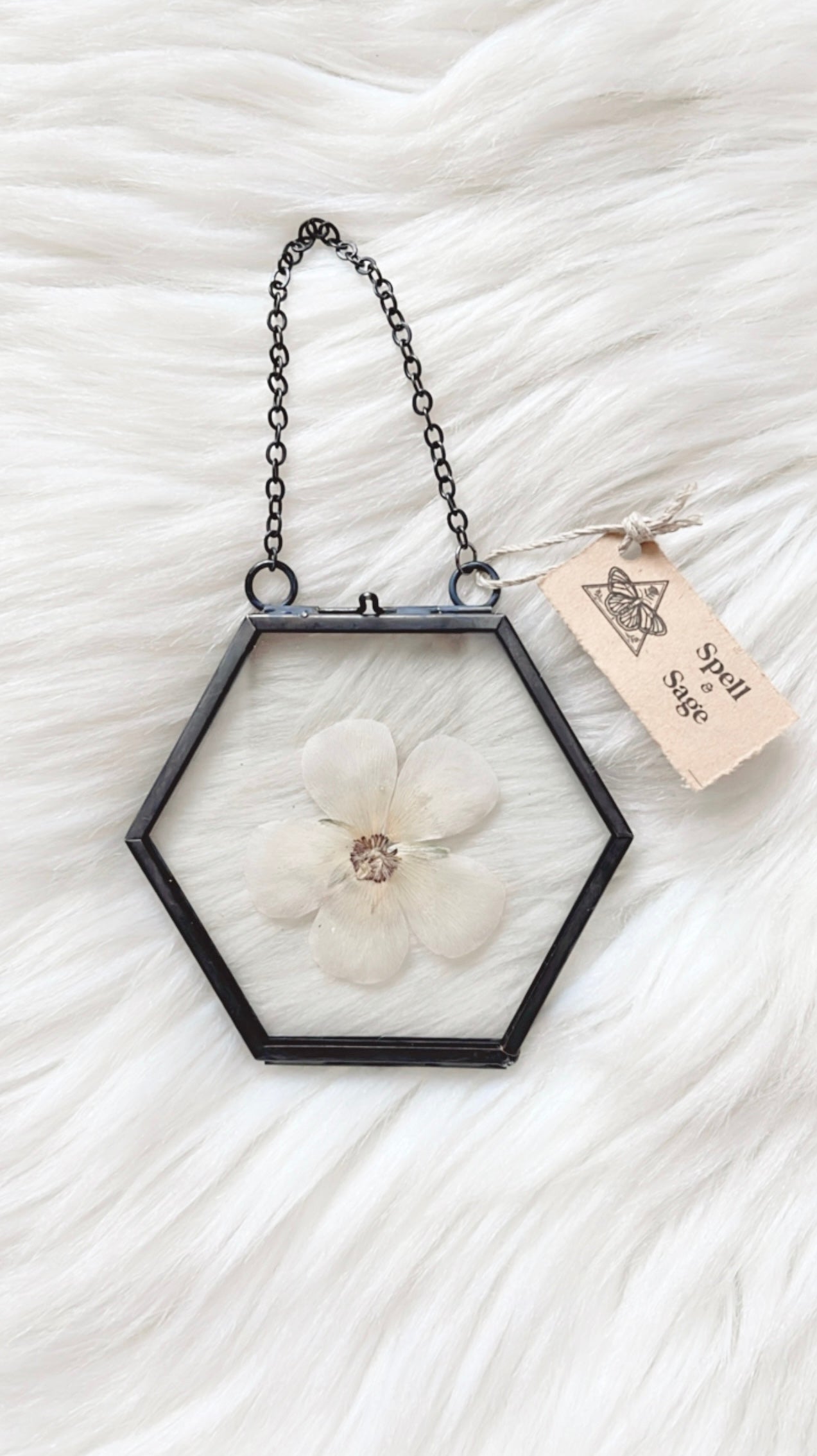 Maxine Floral Frame <3.5x3.25in>
