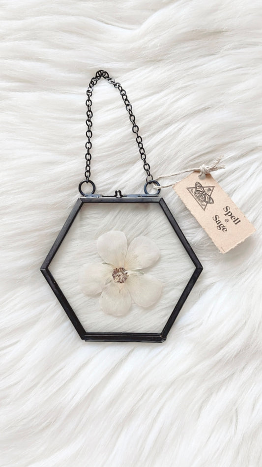Maxine Floral Frame <3.5x3.25in>