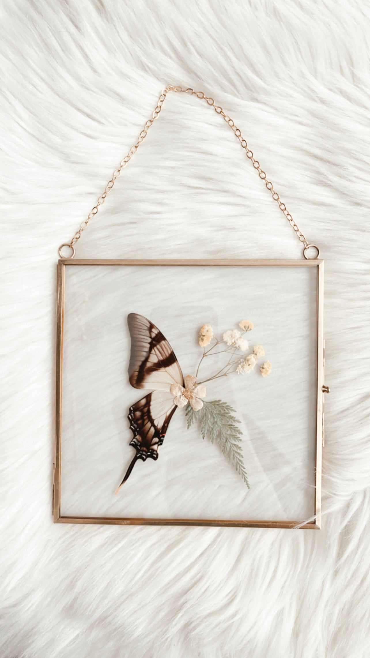 Maya Butterfly Floral Frame
