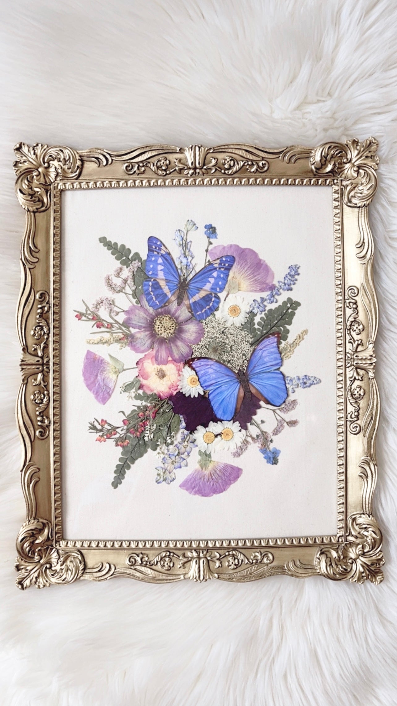 Melody Paper Replica Ornate Frame