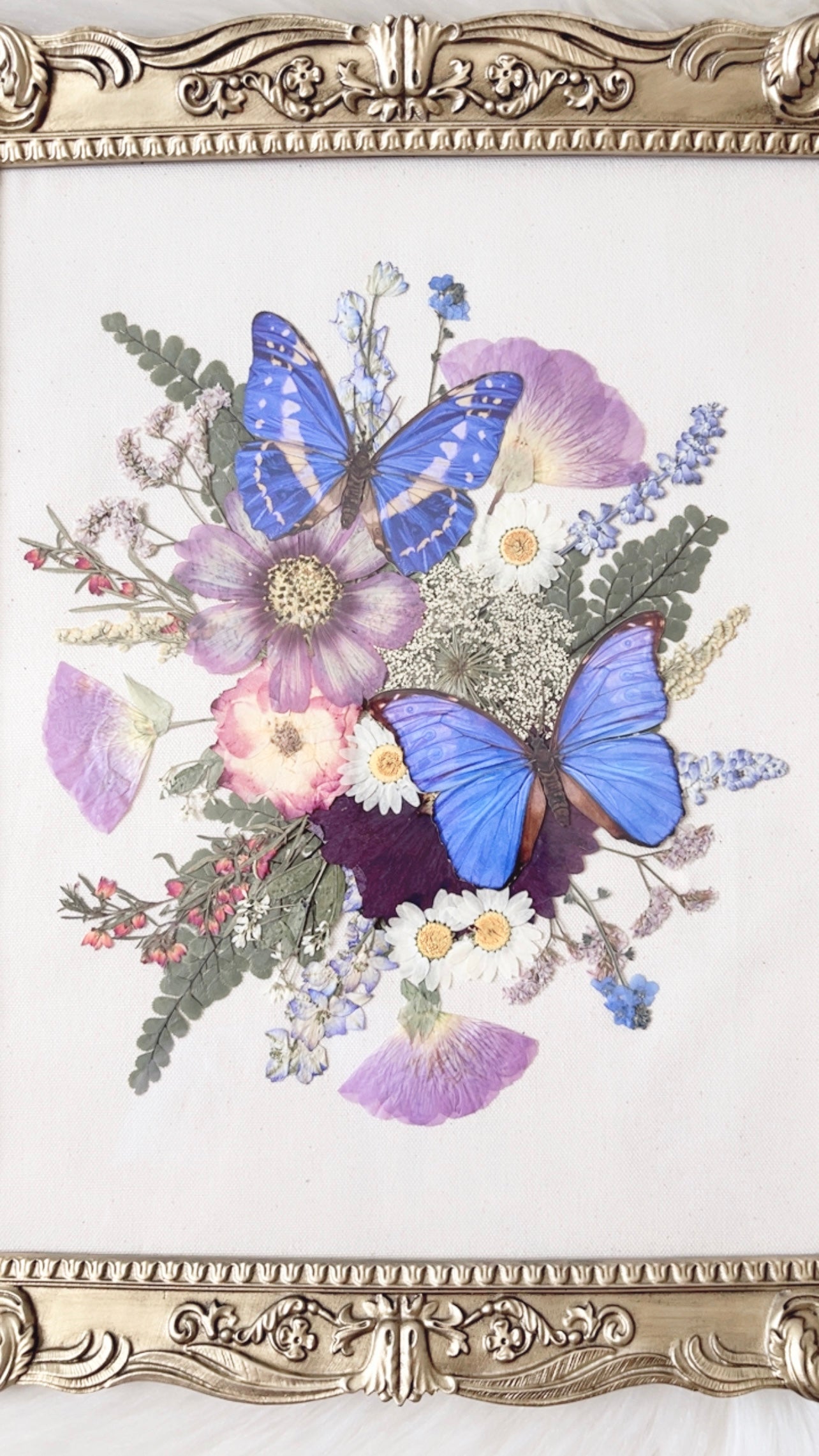Melody Paper Replica Ornate Frame