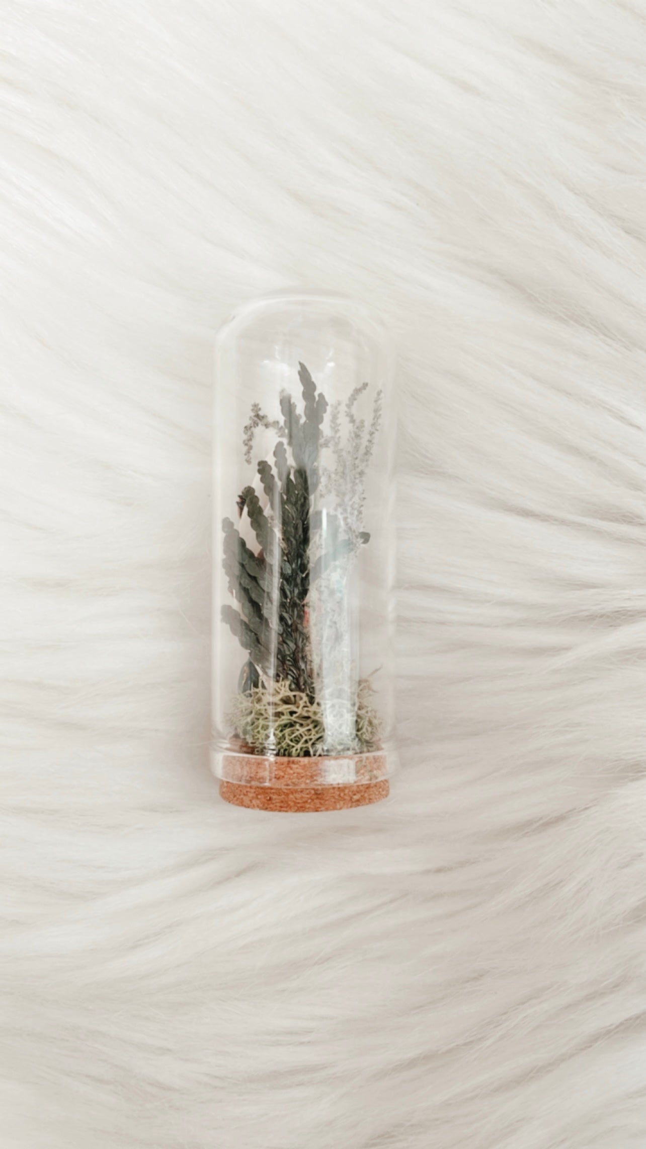 Mel Terrarium