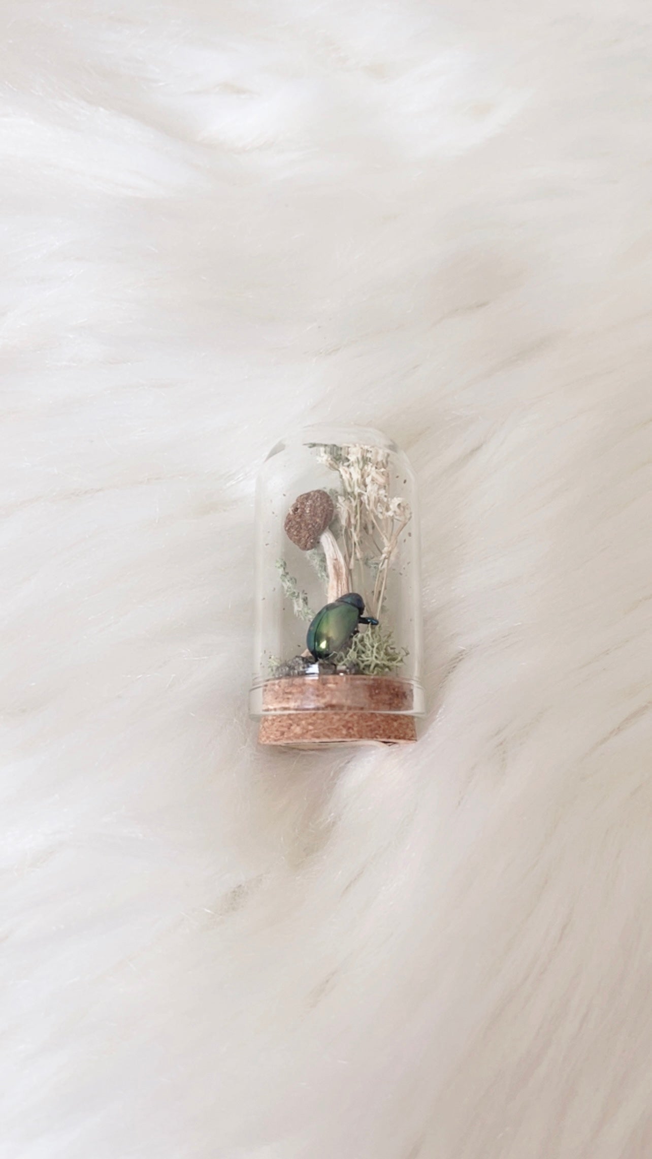 Melvin Mini Terrarium